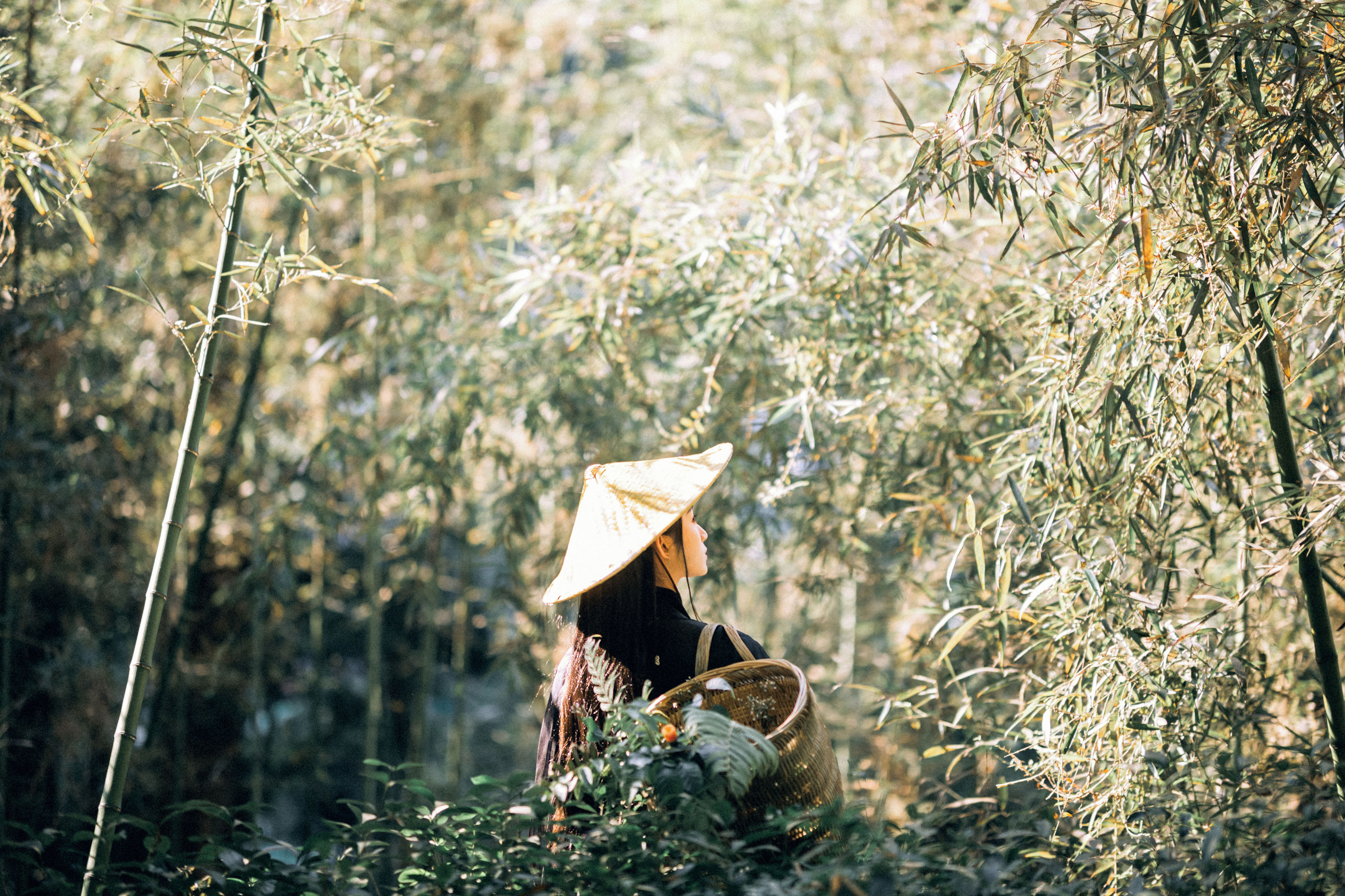 采药