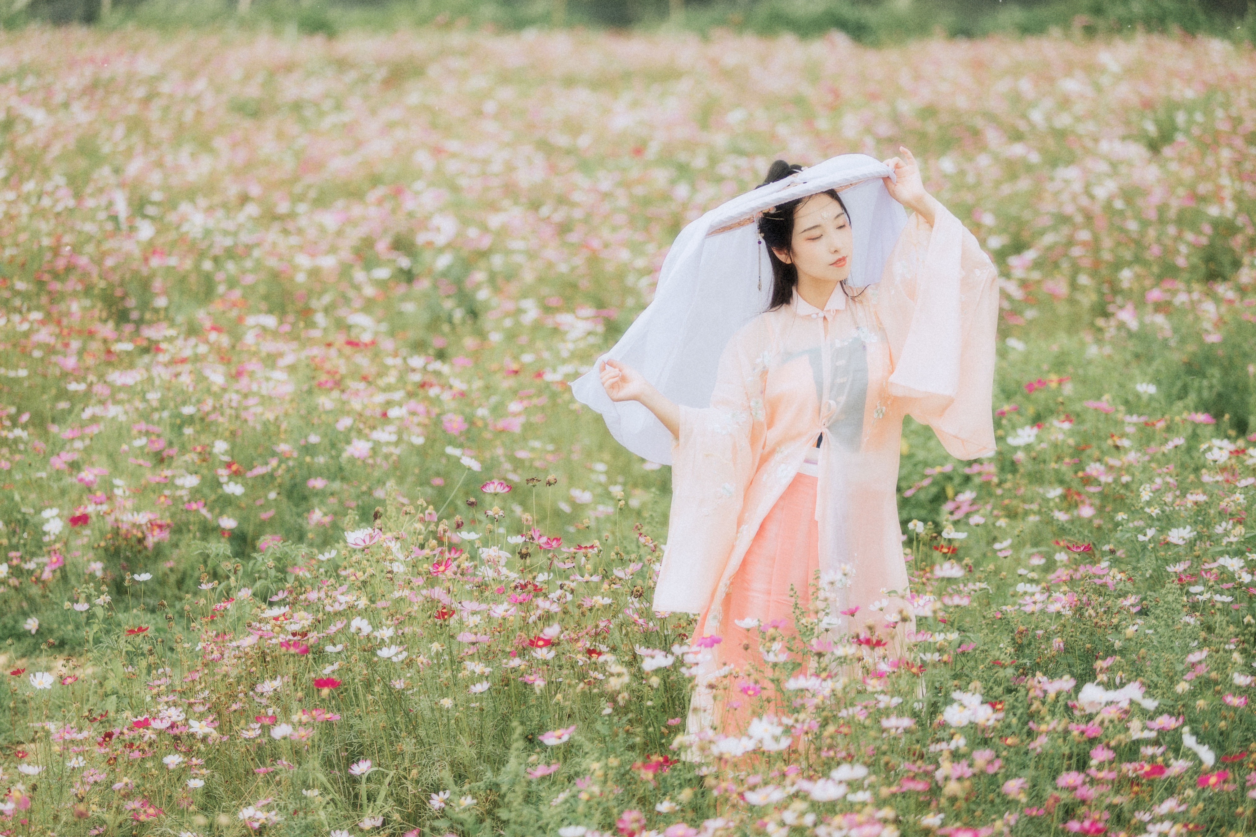 繁花孤影