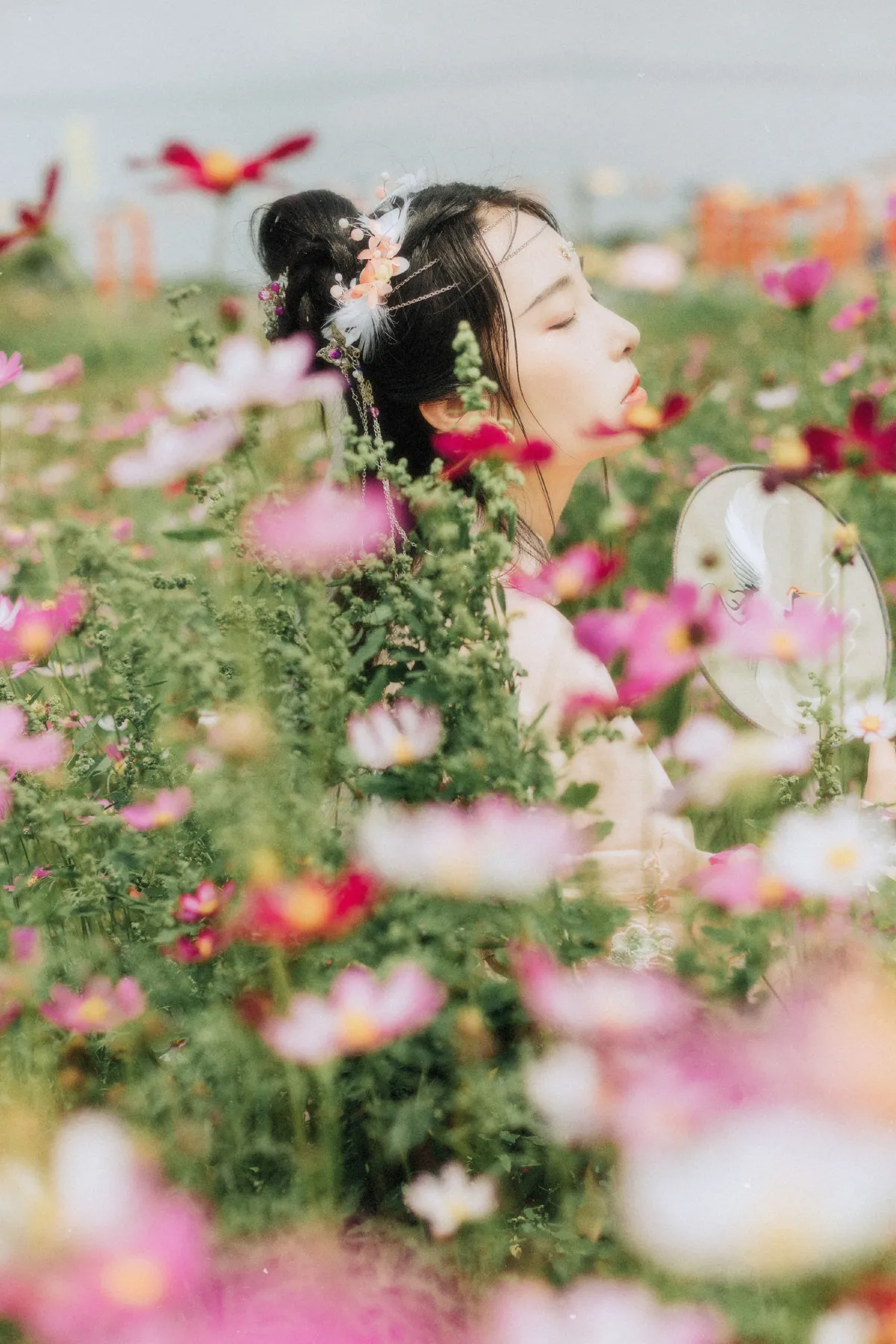 繁花孤影2