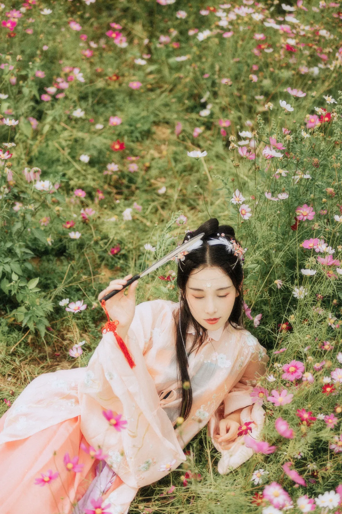 繁花孤影
