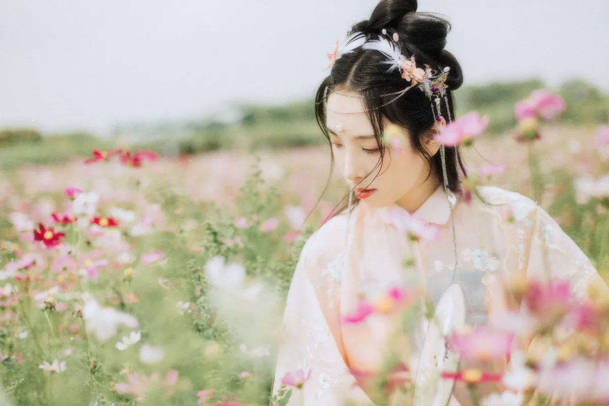 繁花孤影
