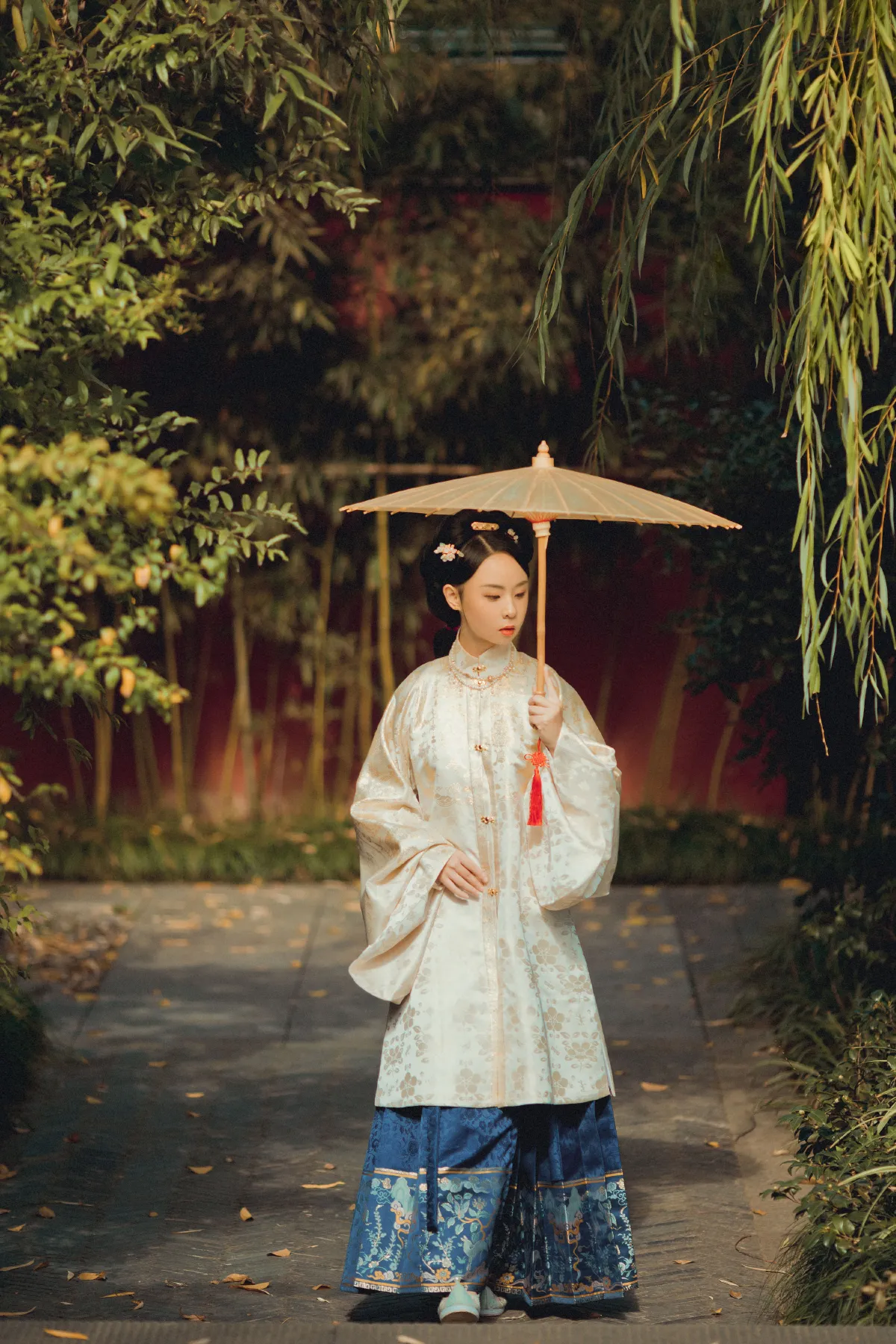 寻枫1