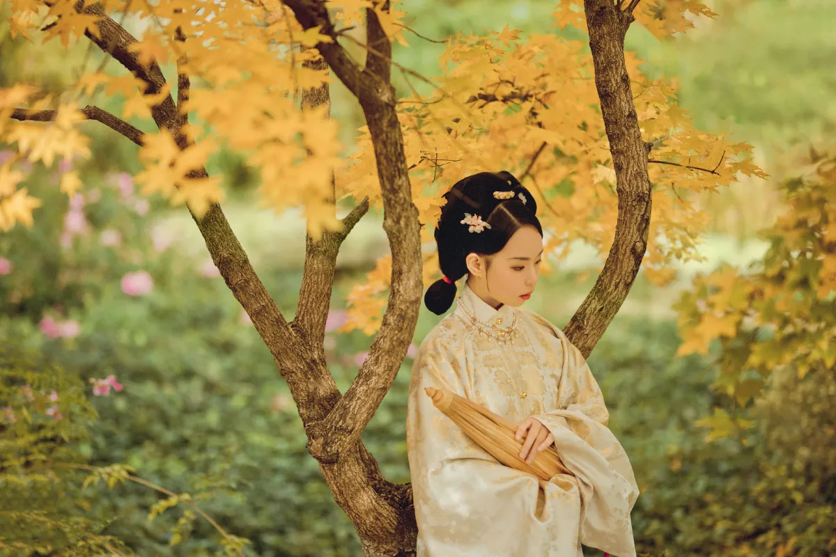 寻枫