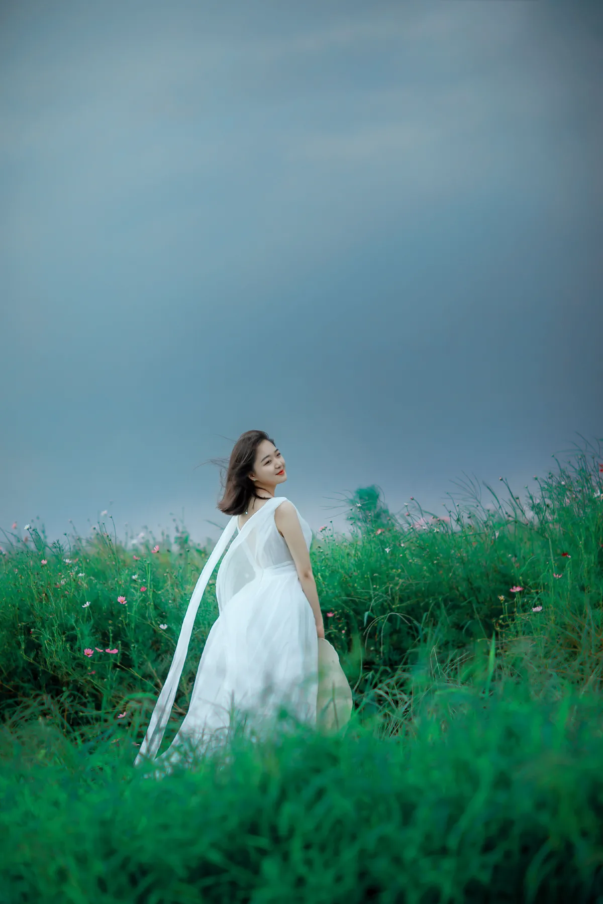 格桑花开2