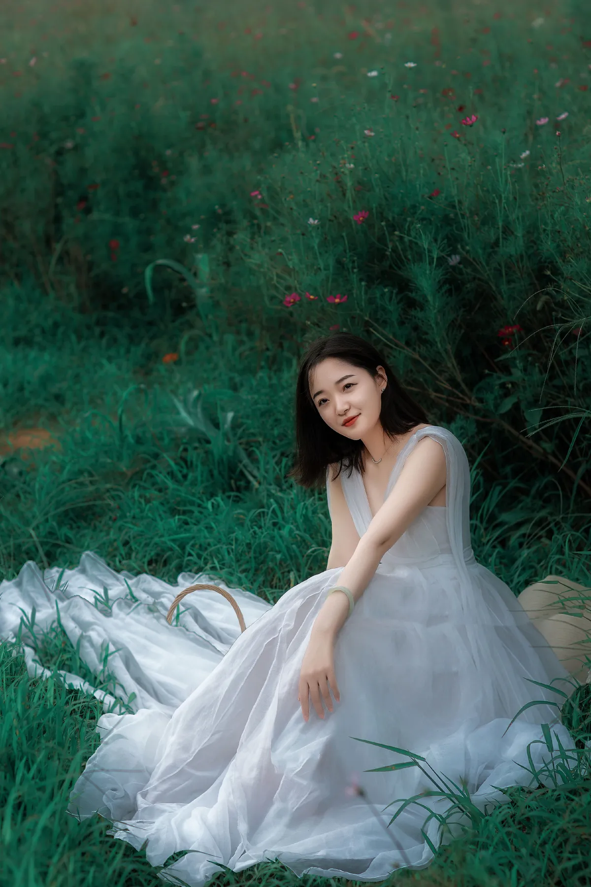 格桑花开