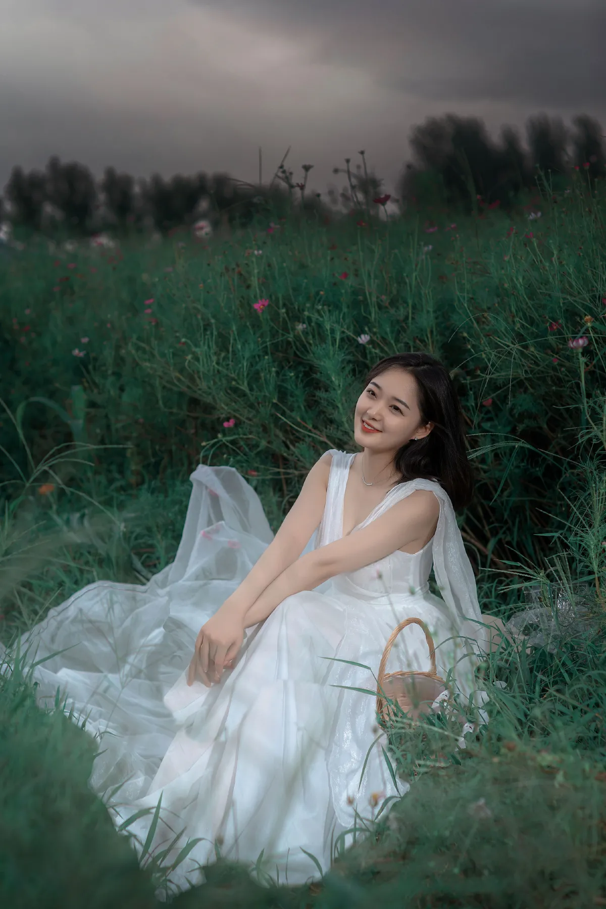 格桑花开