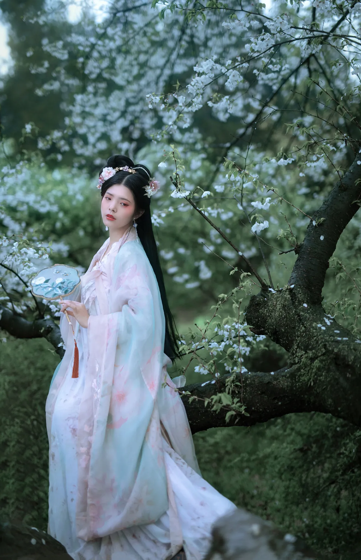 樱2
