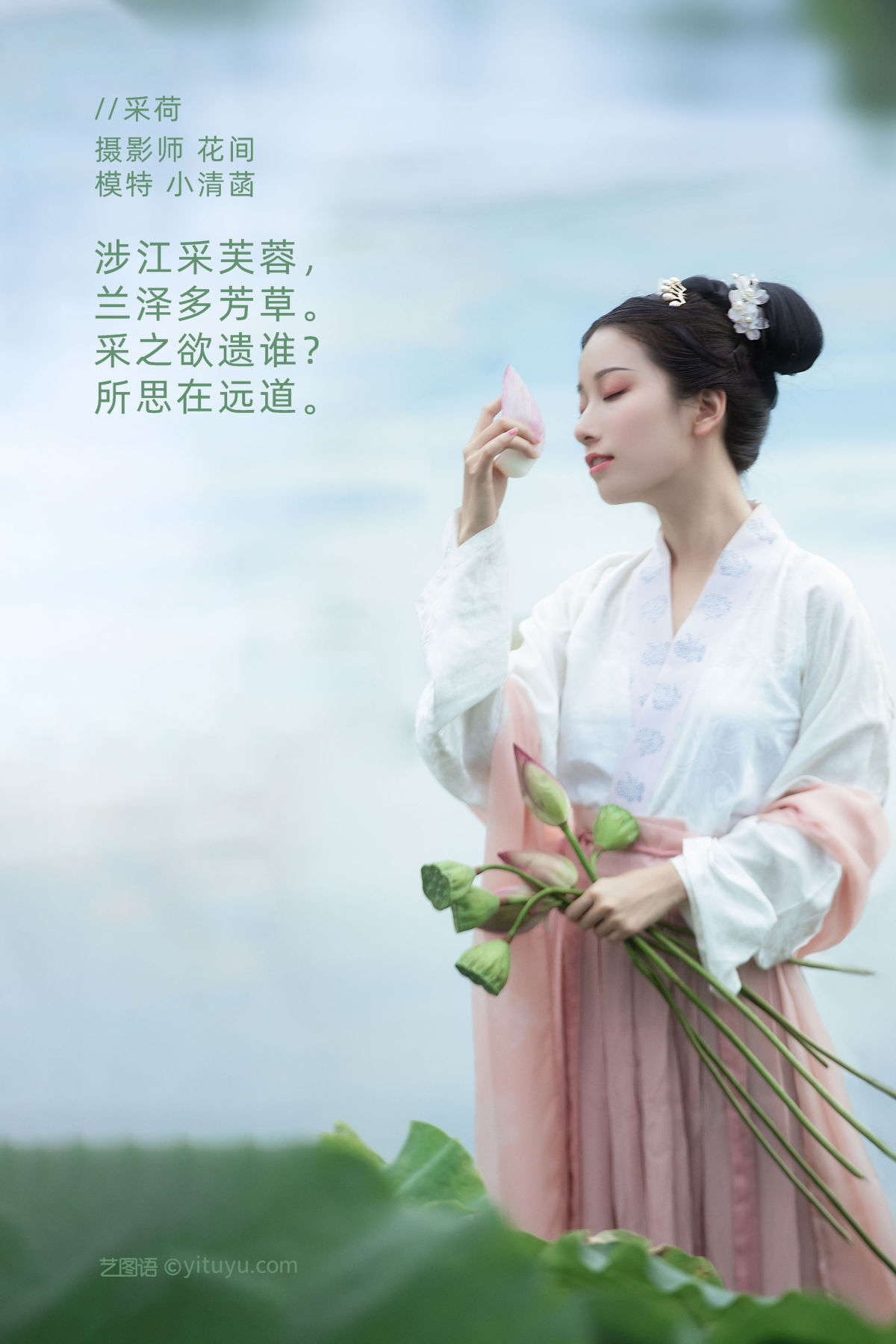 花间_小清菡呀 《采荷》美图作品图片2