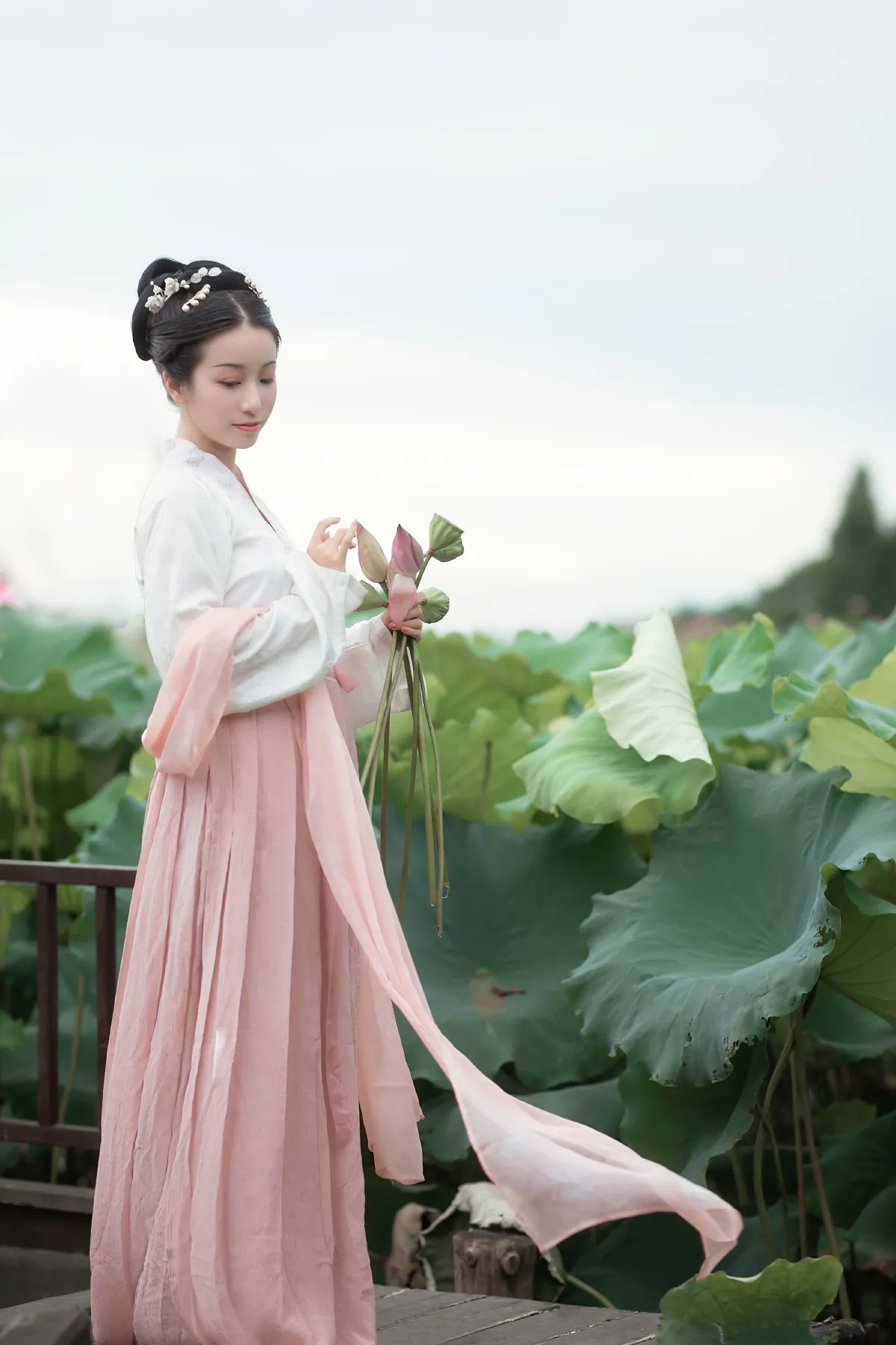 采荷