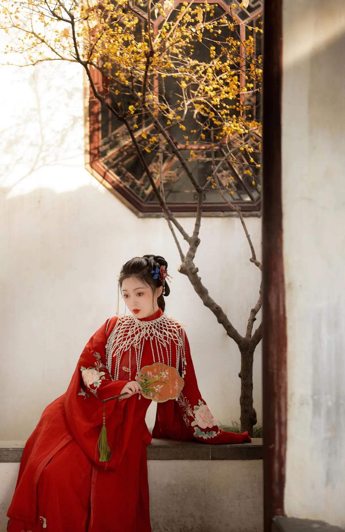 寒香1