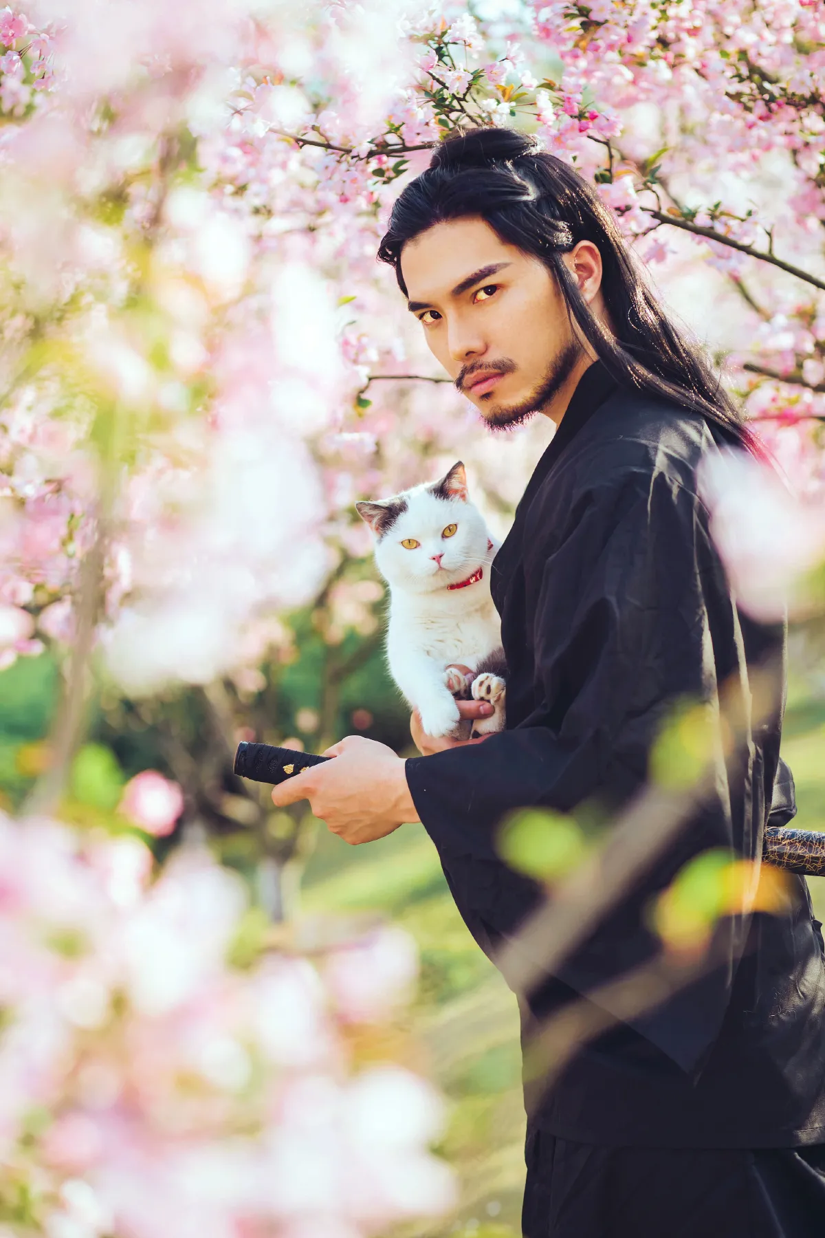 猫侍1