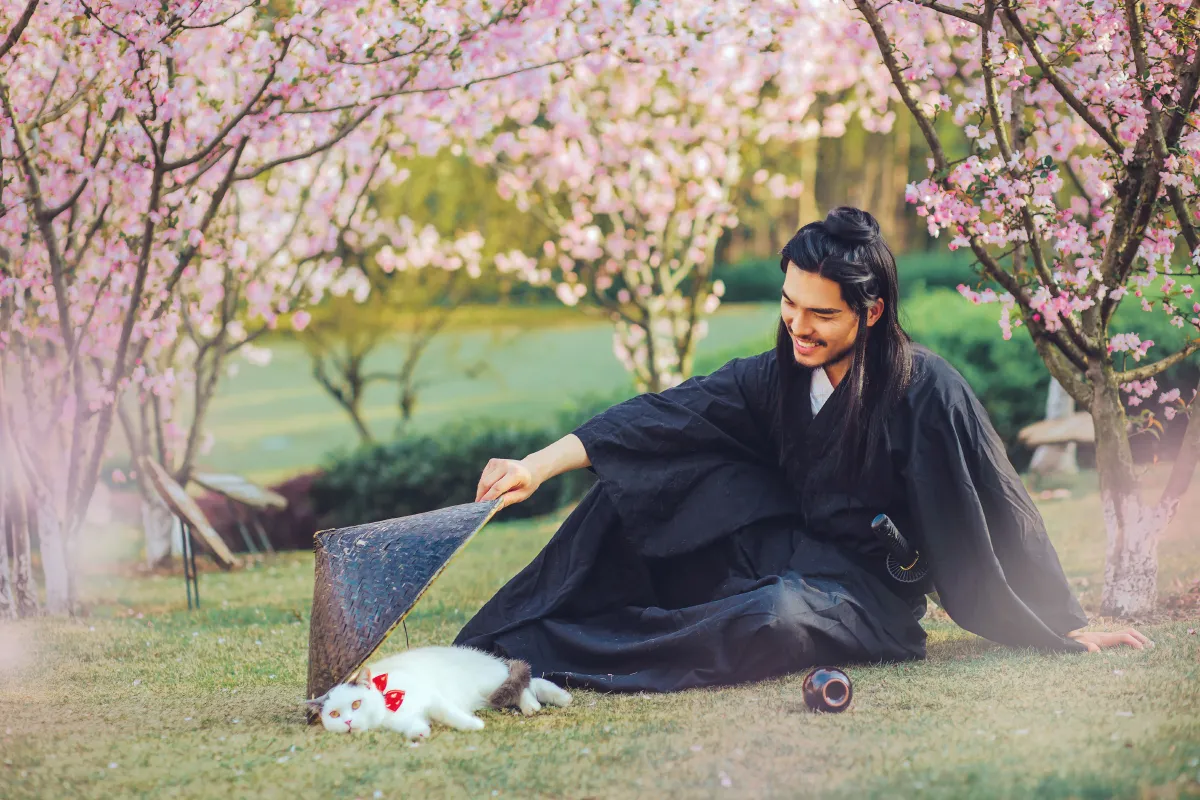 猫侍2