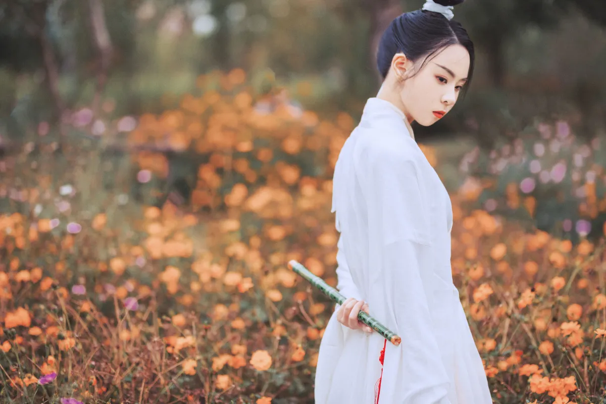 白衣隐1