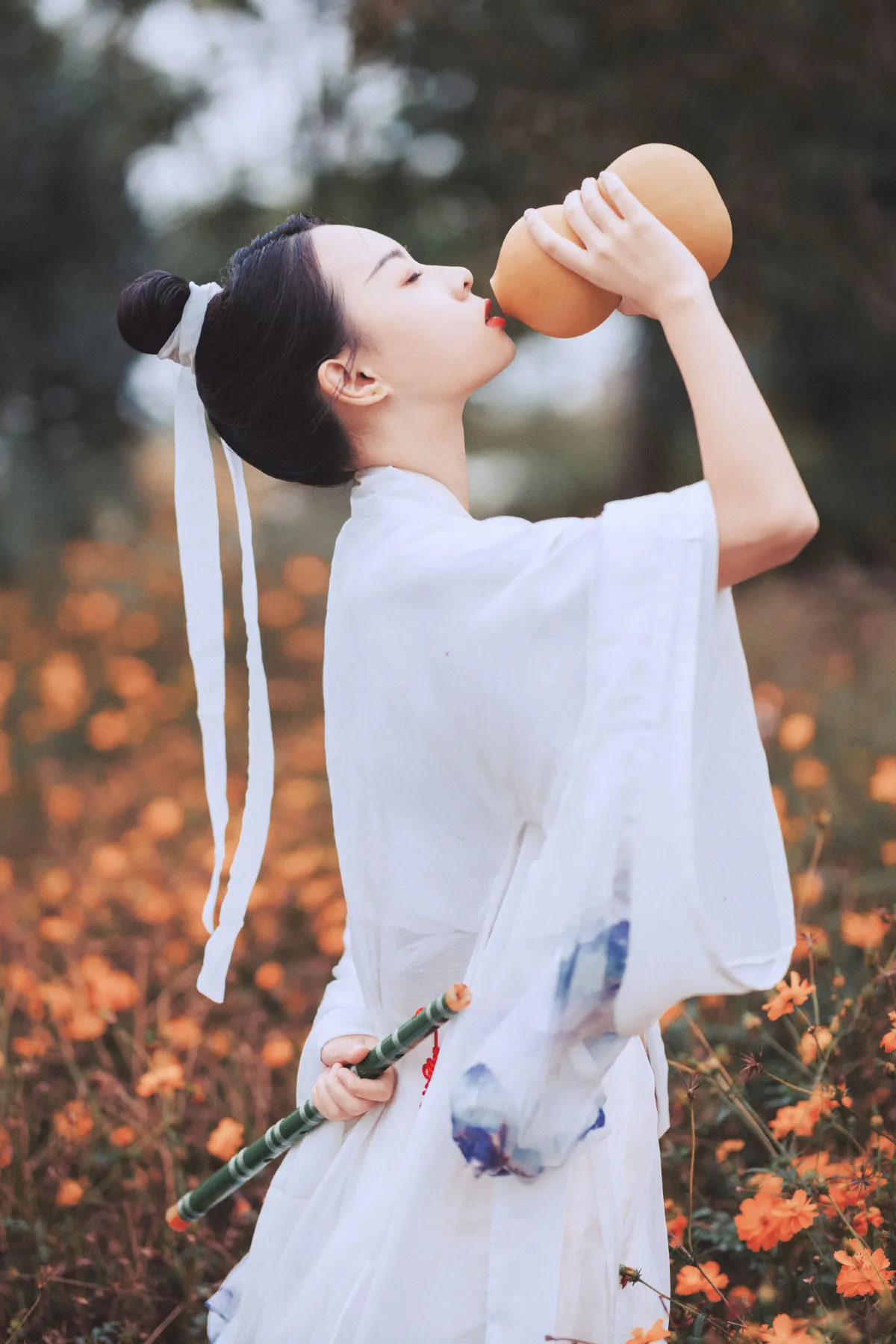 白衣隐2