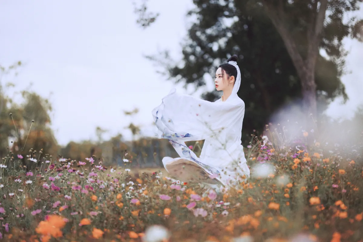 白衣隐