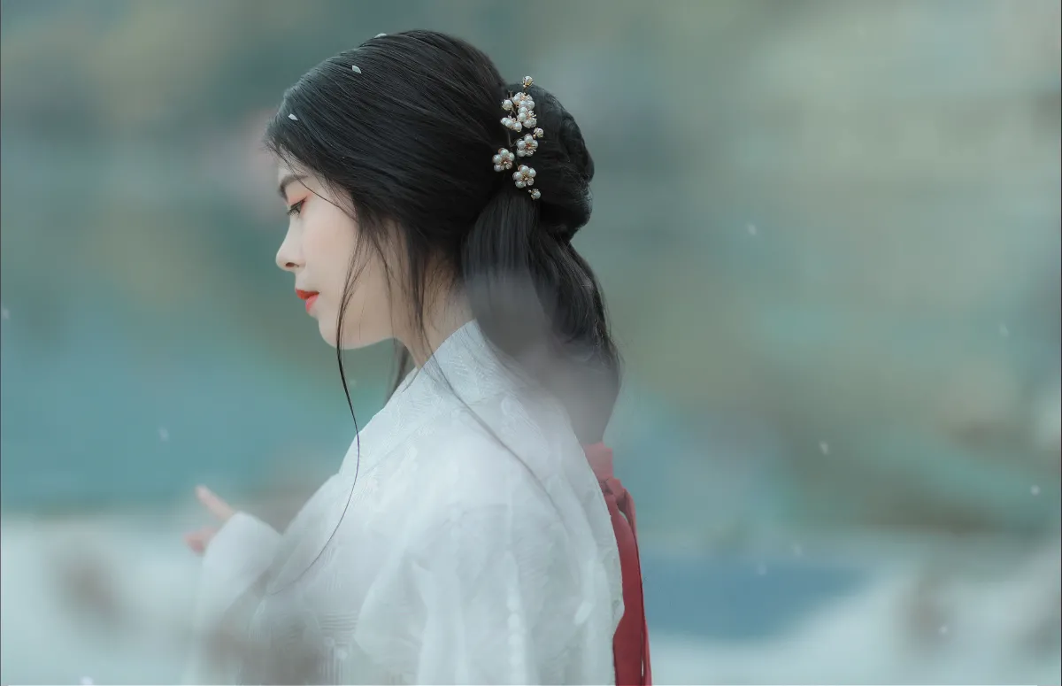 杏花雨2