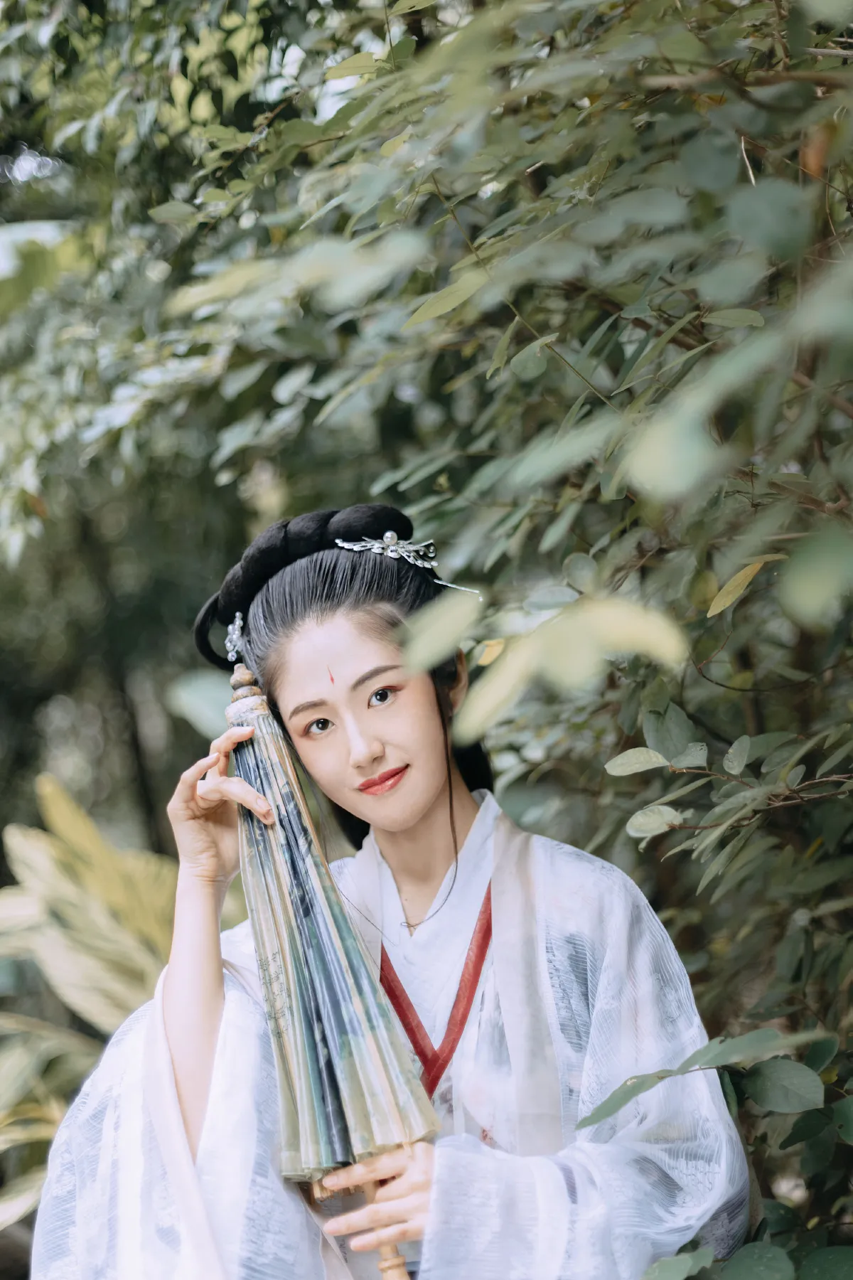 南风过