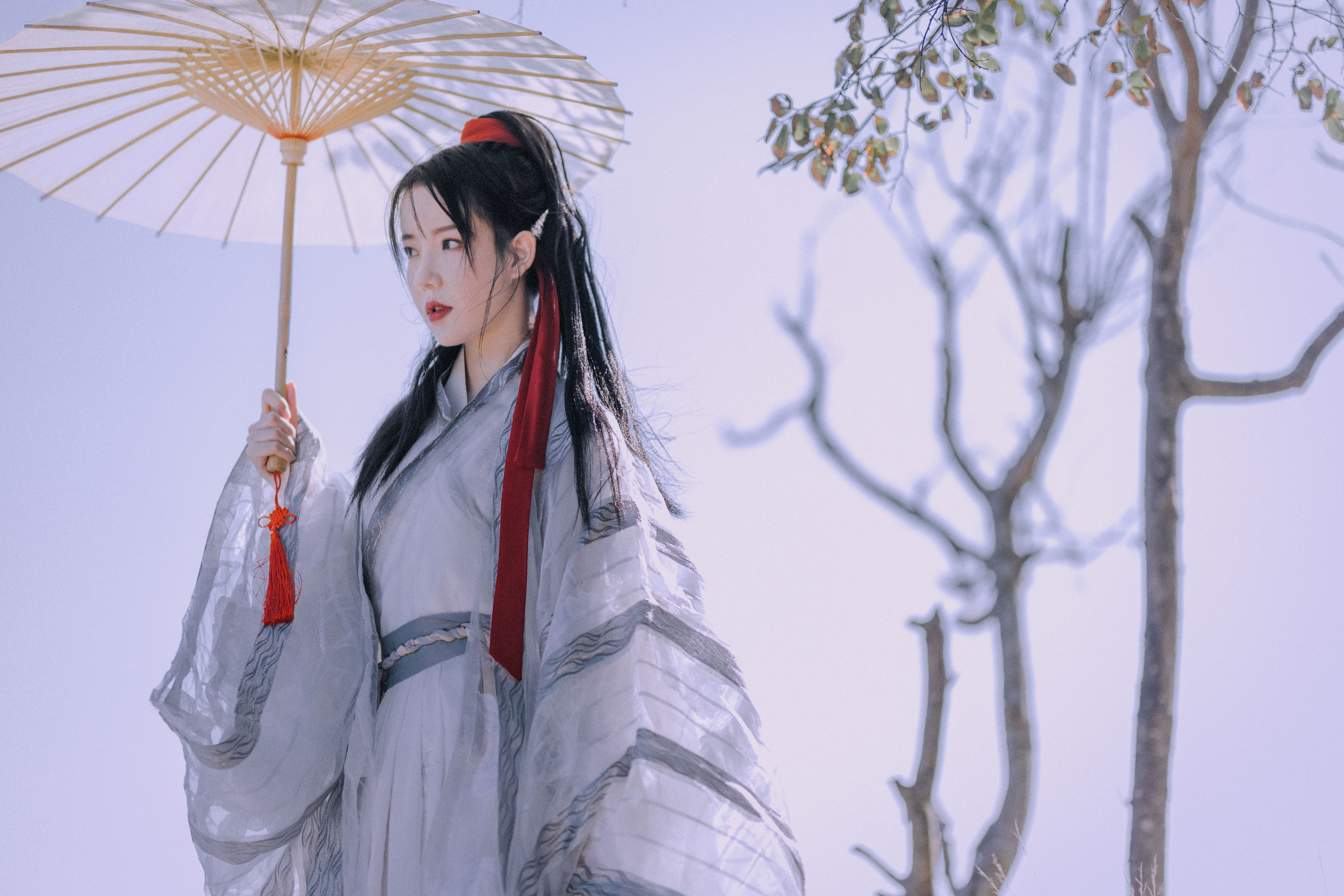 她是一个剑客1