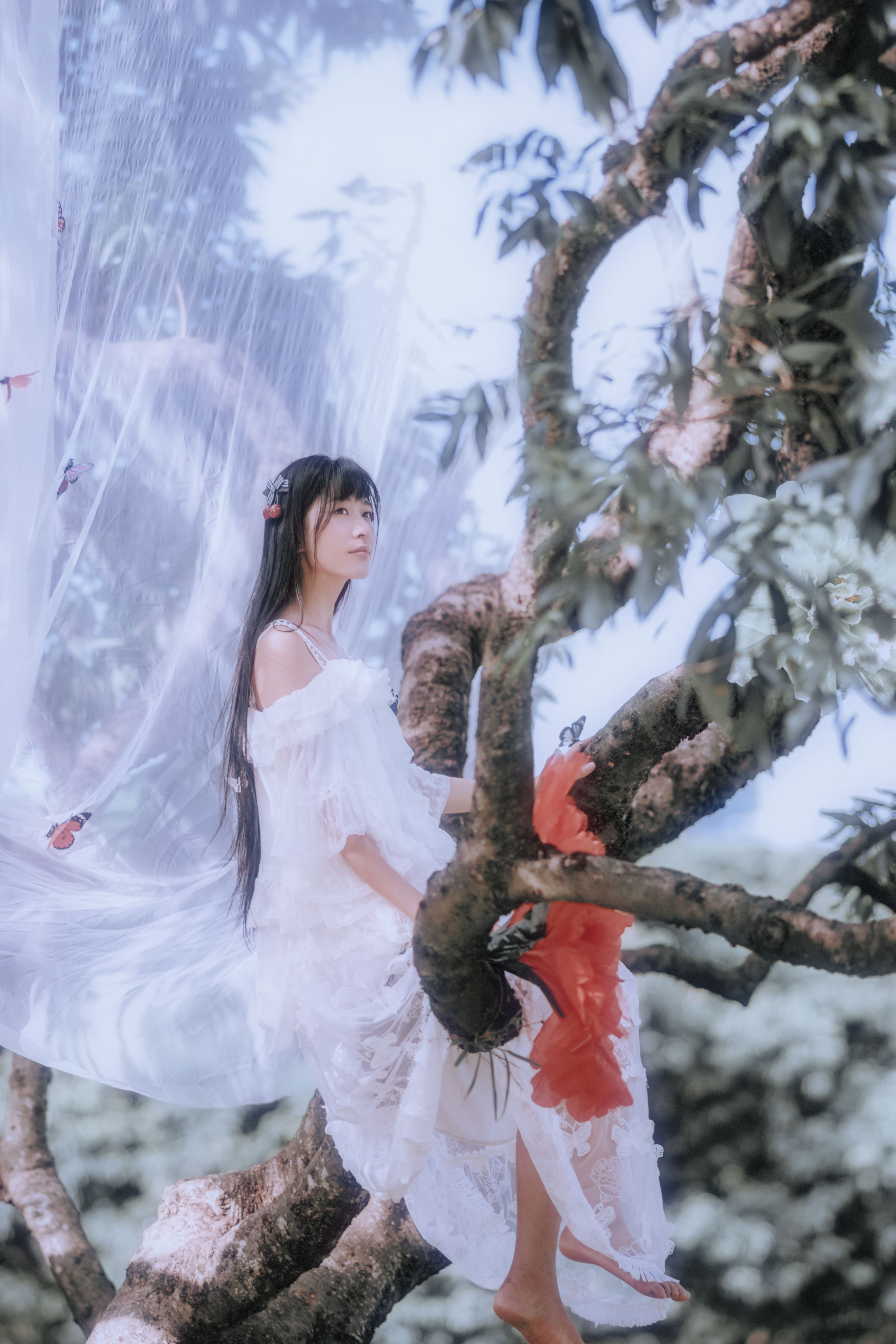 花的嫁纱