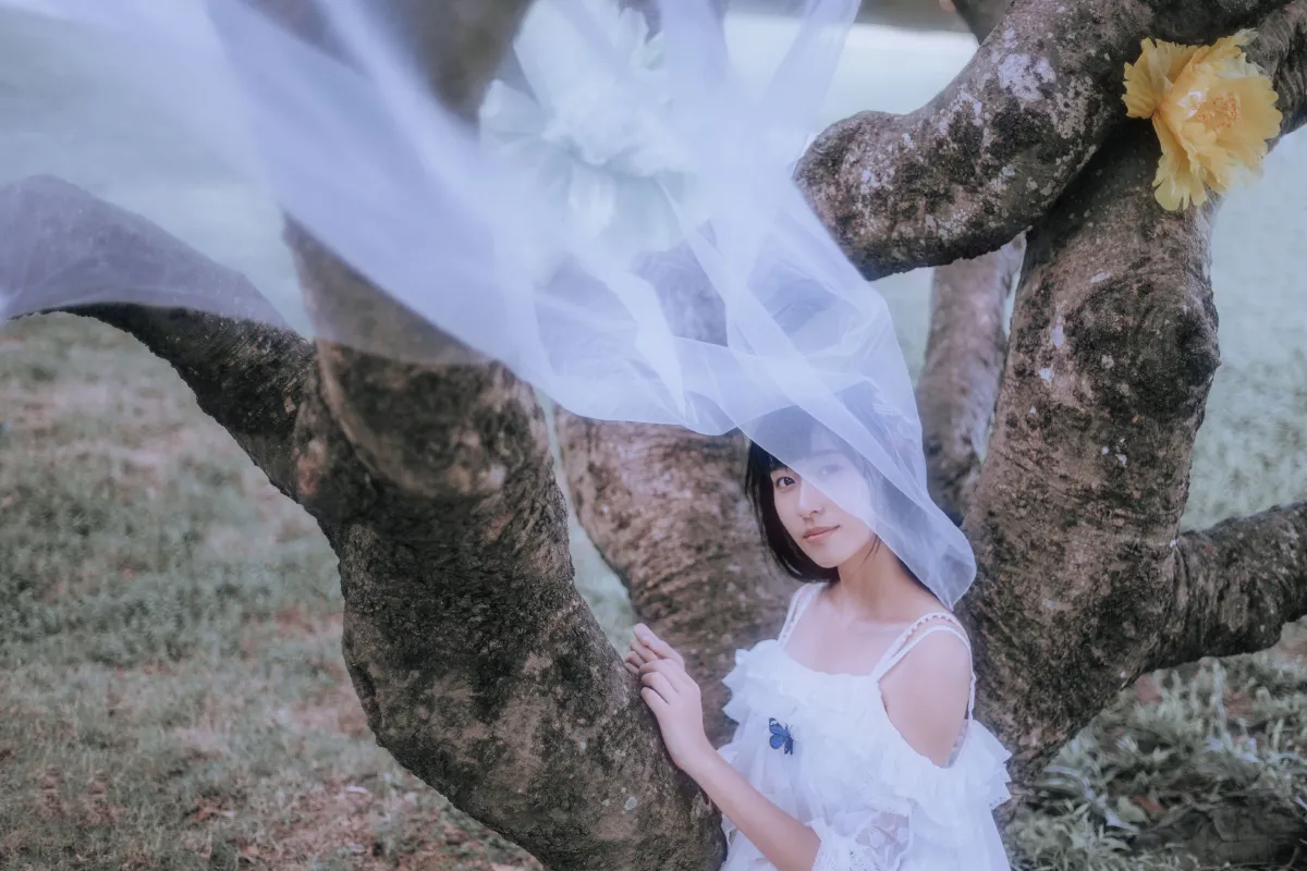花的嫁纱2
