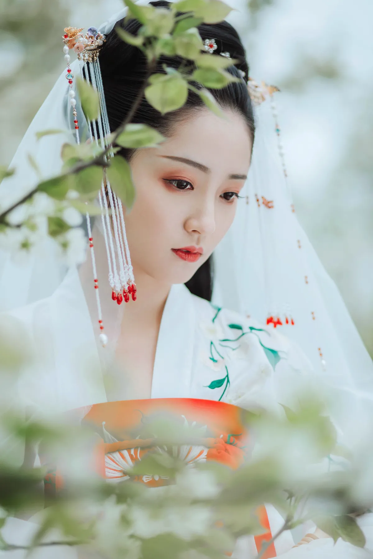 无俗念2
