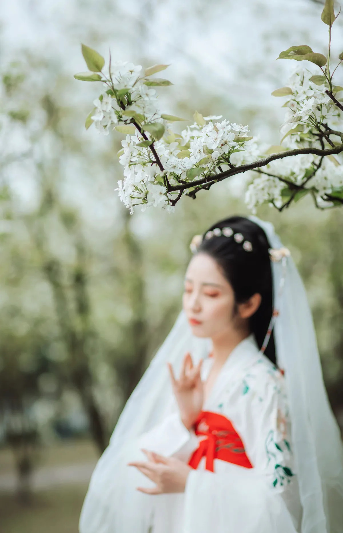 无俗念3