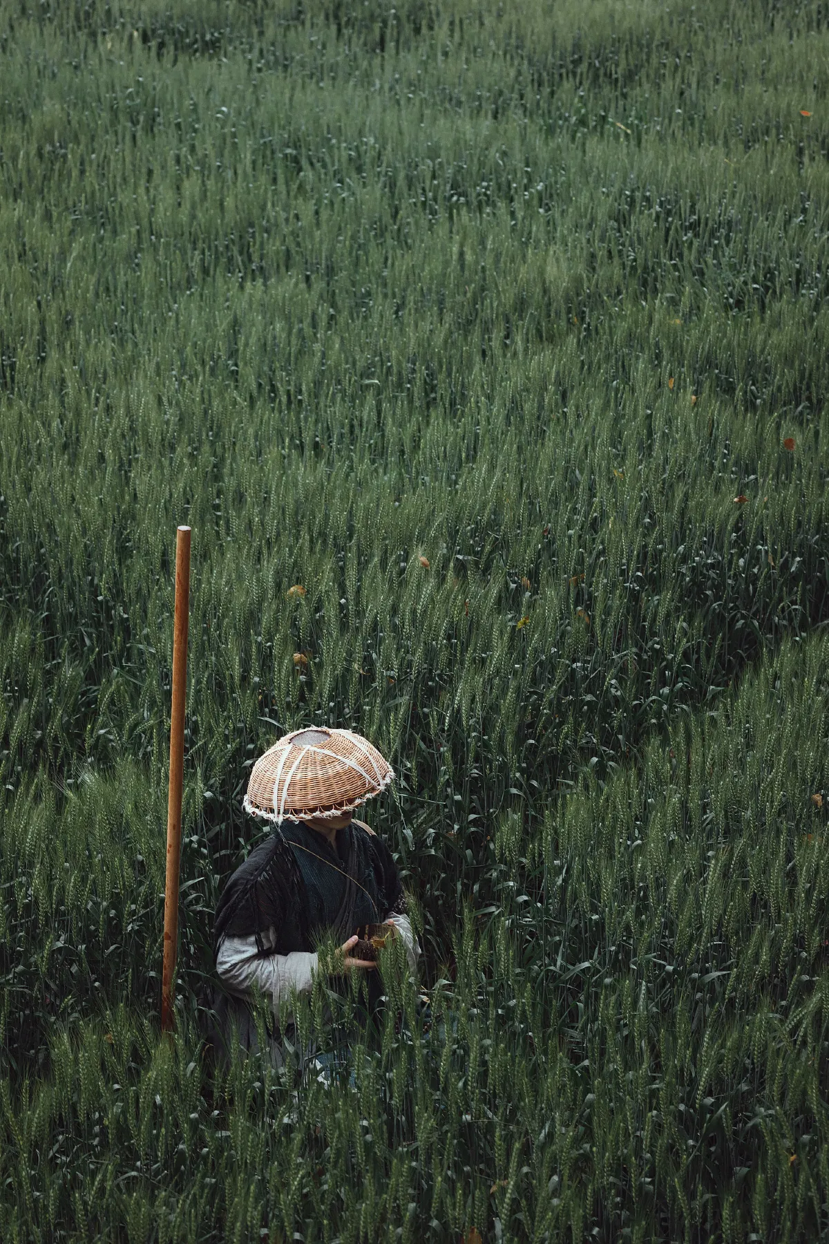 游僧