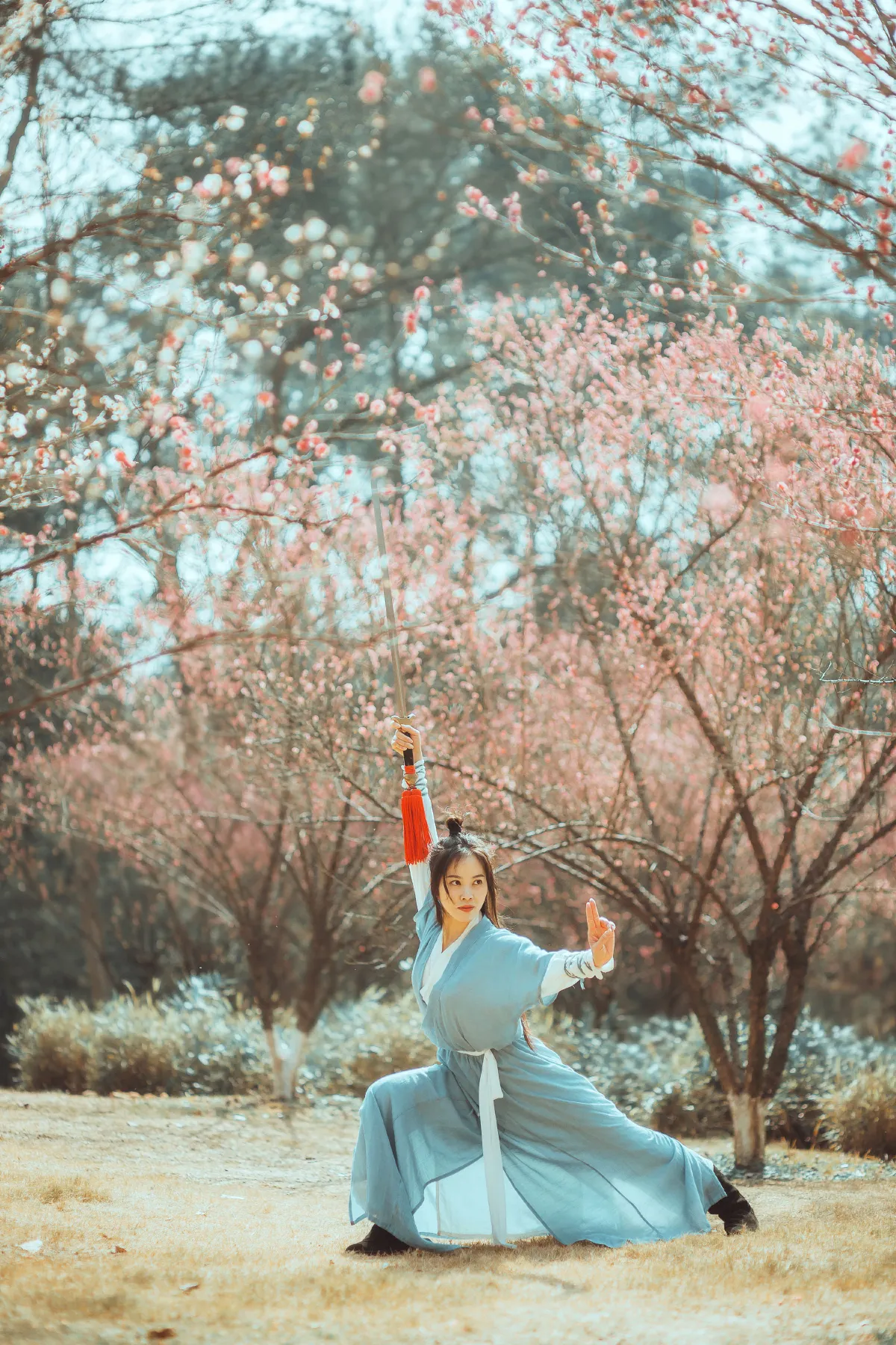 梅花引