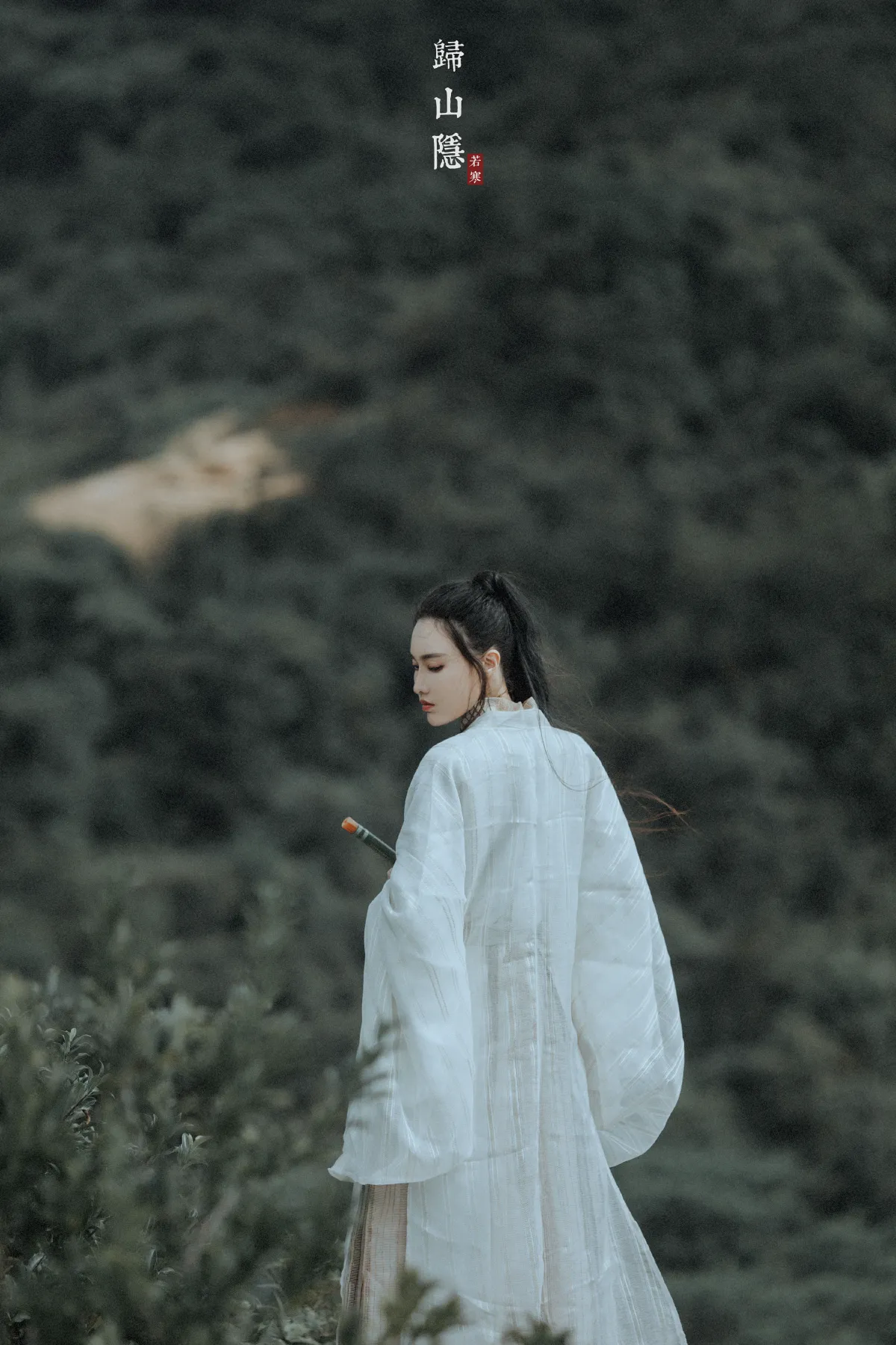 归山隐