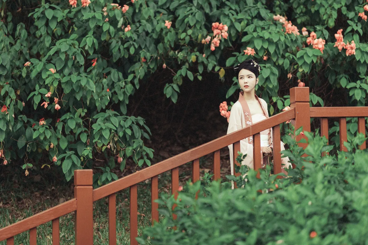 花期不待1