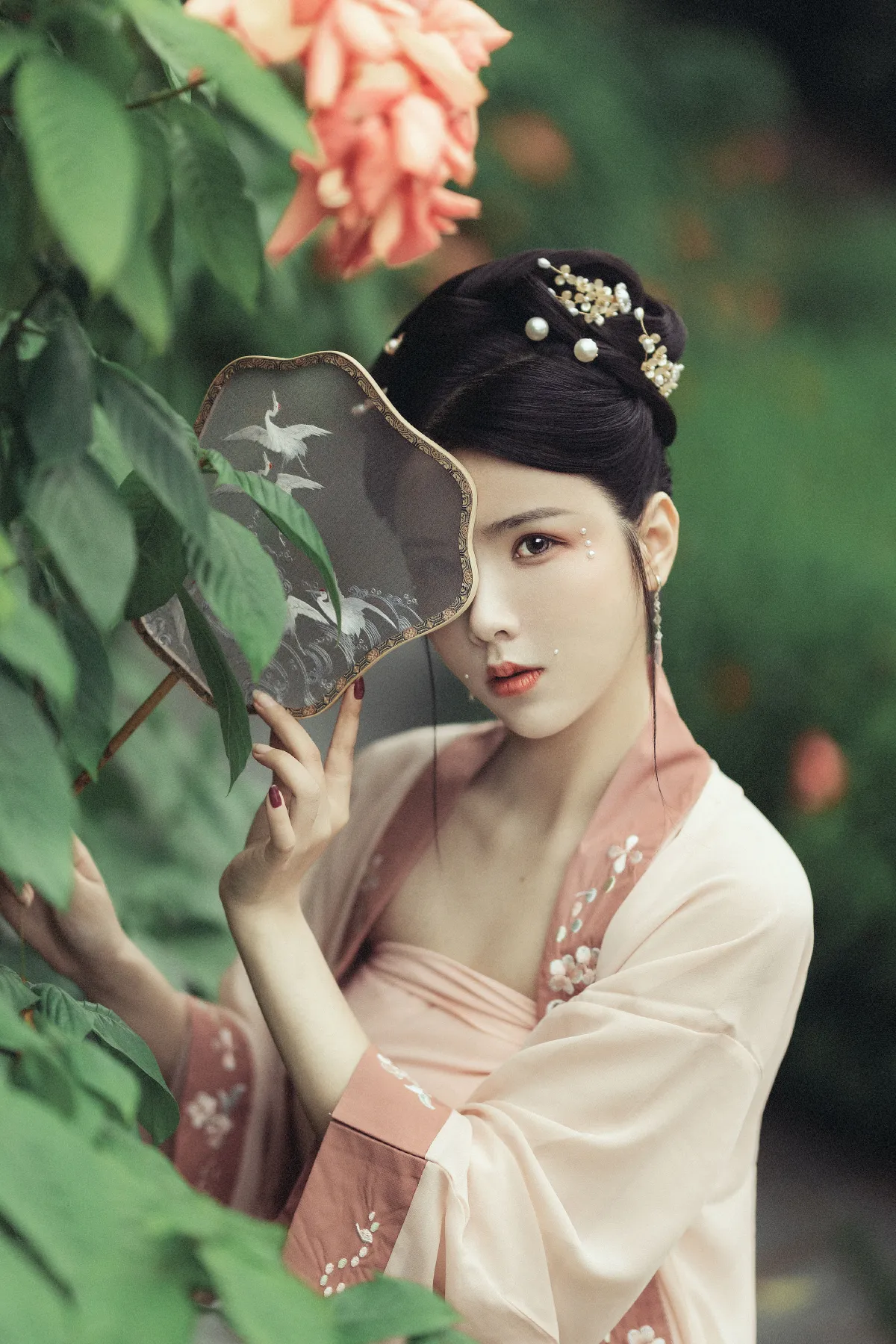 花期不待