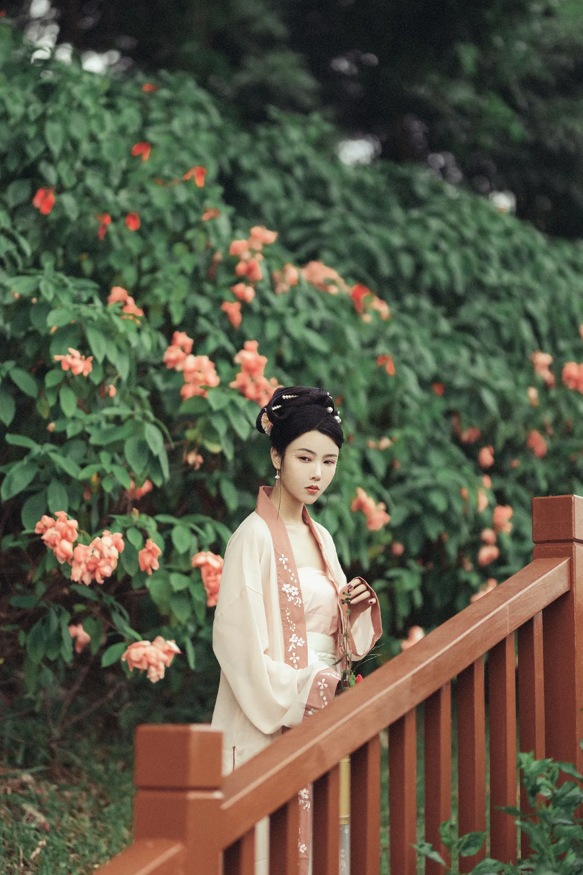 花期不待