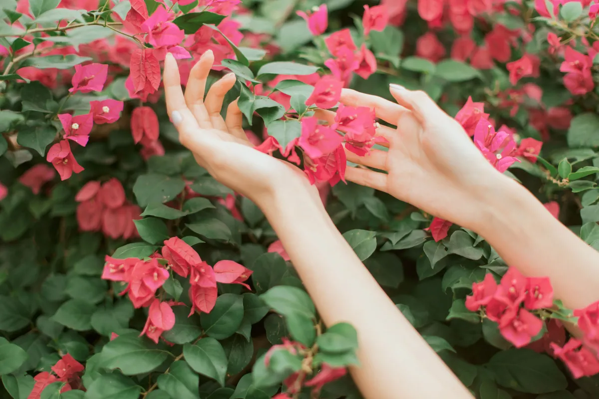 花开的季节