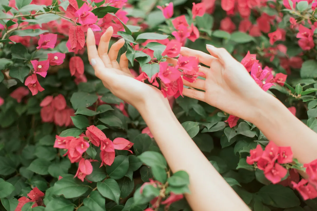 花开的季节1