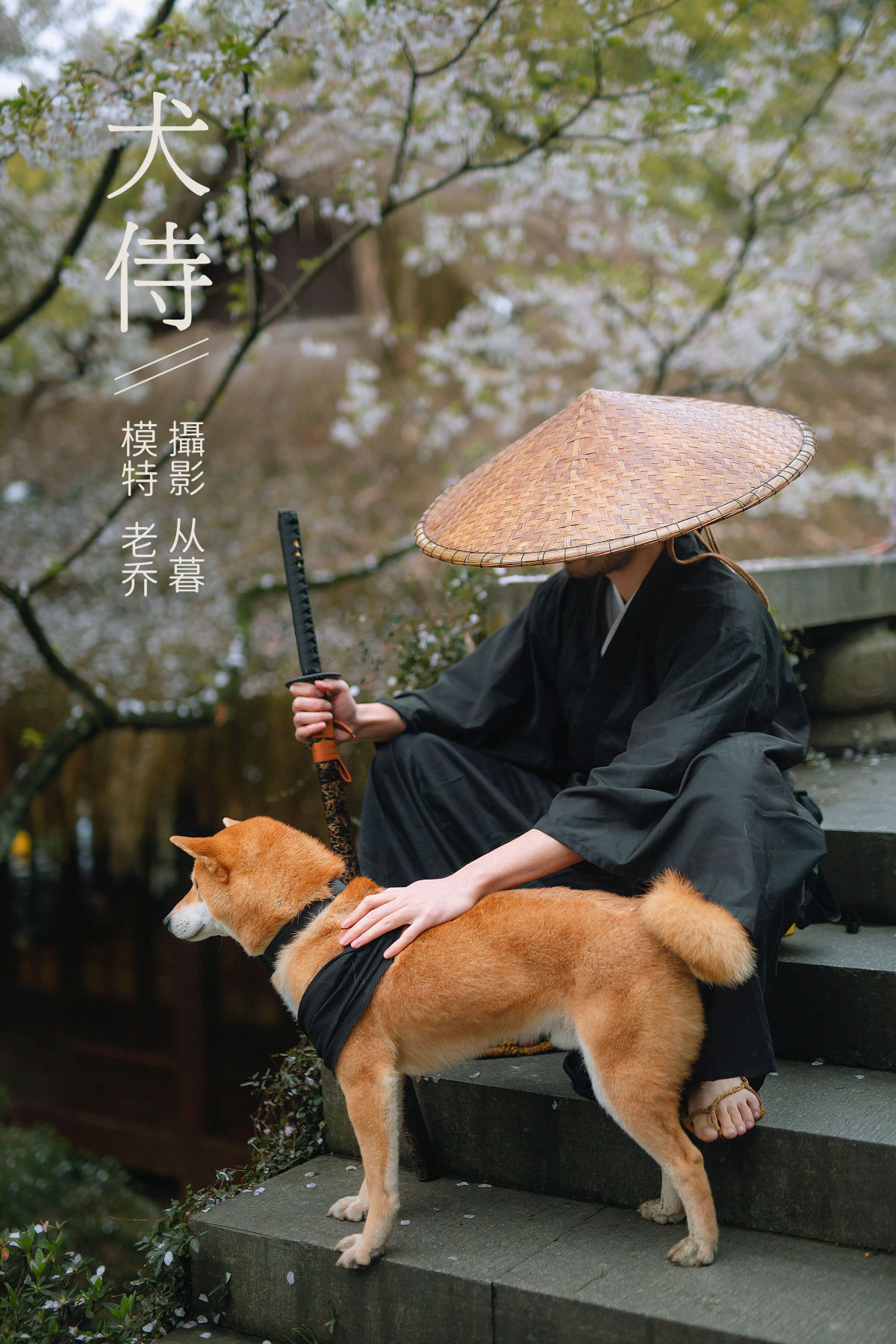 犬侍