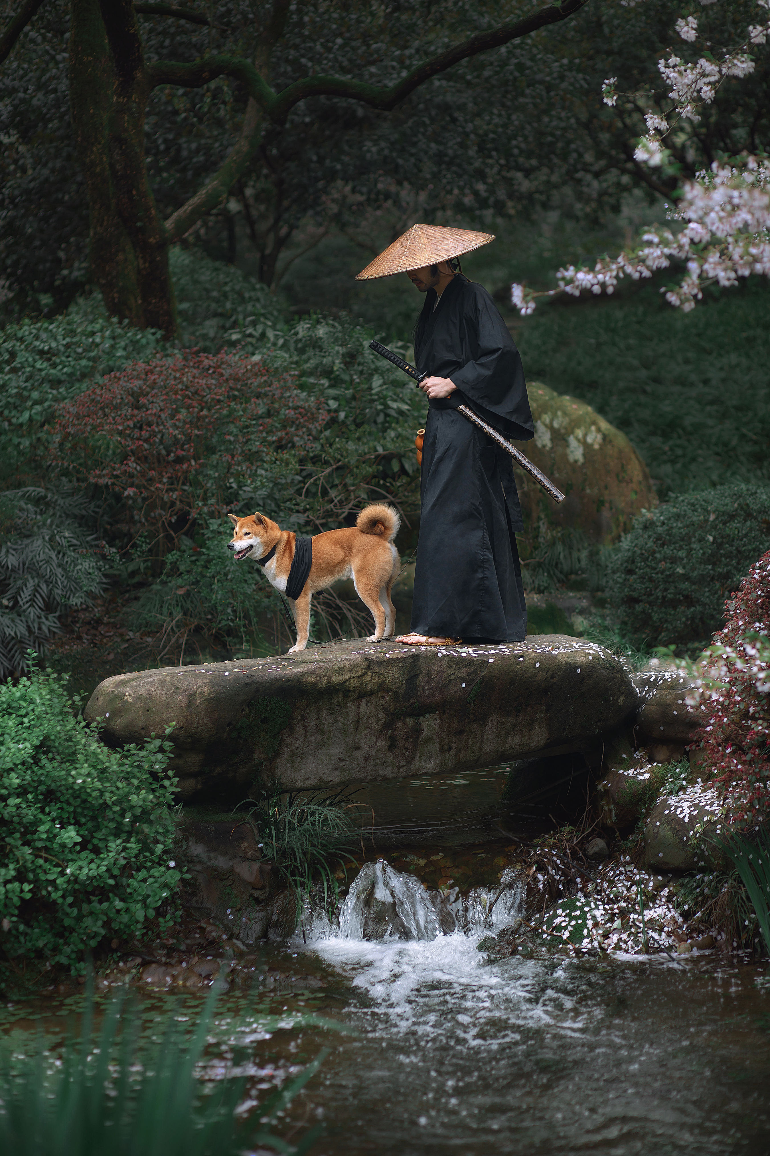 犬侍