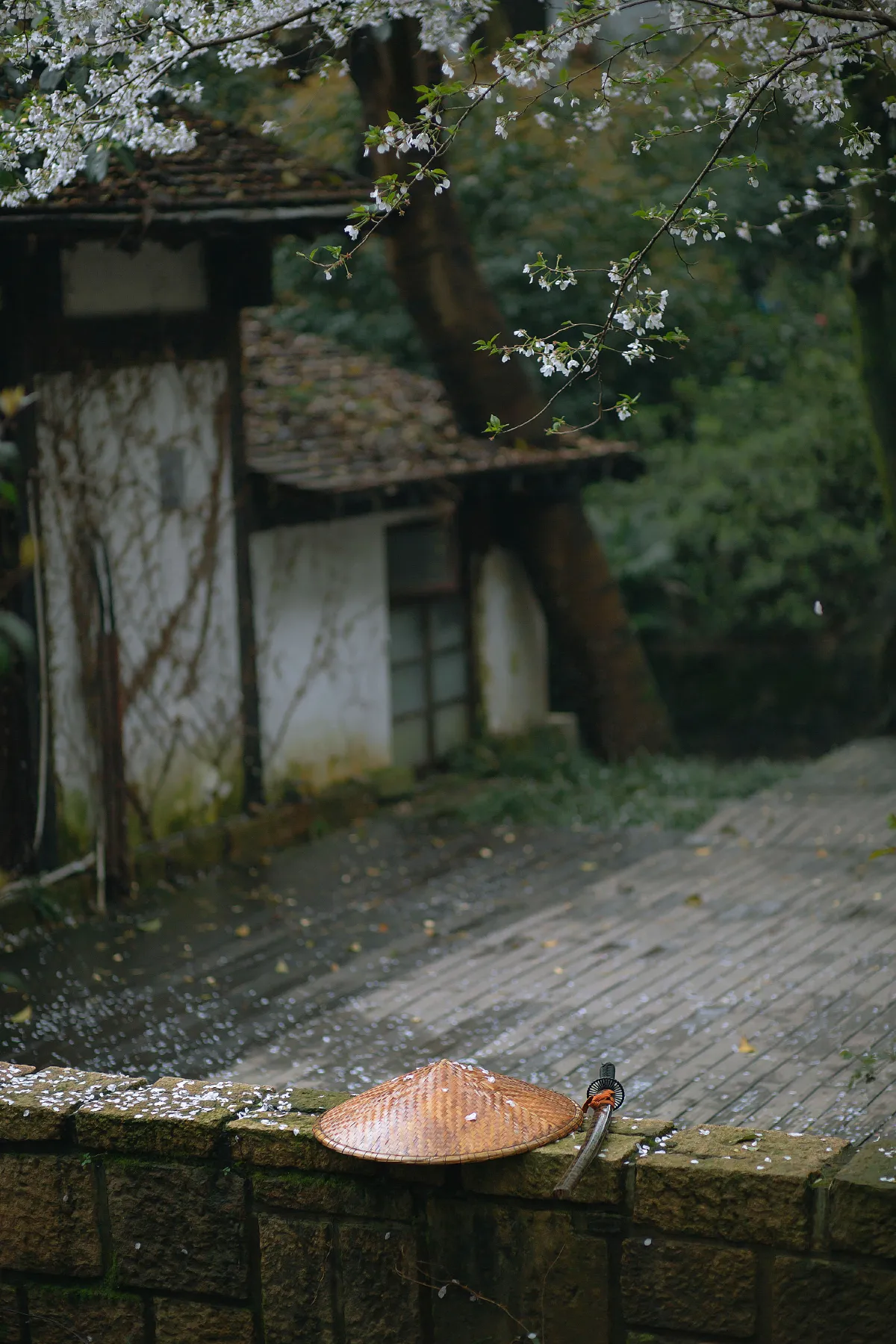 犬侍