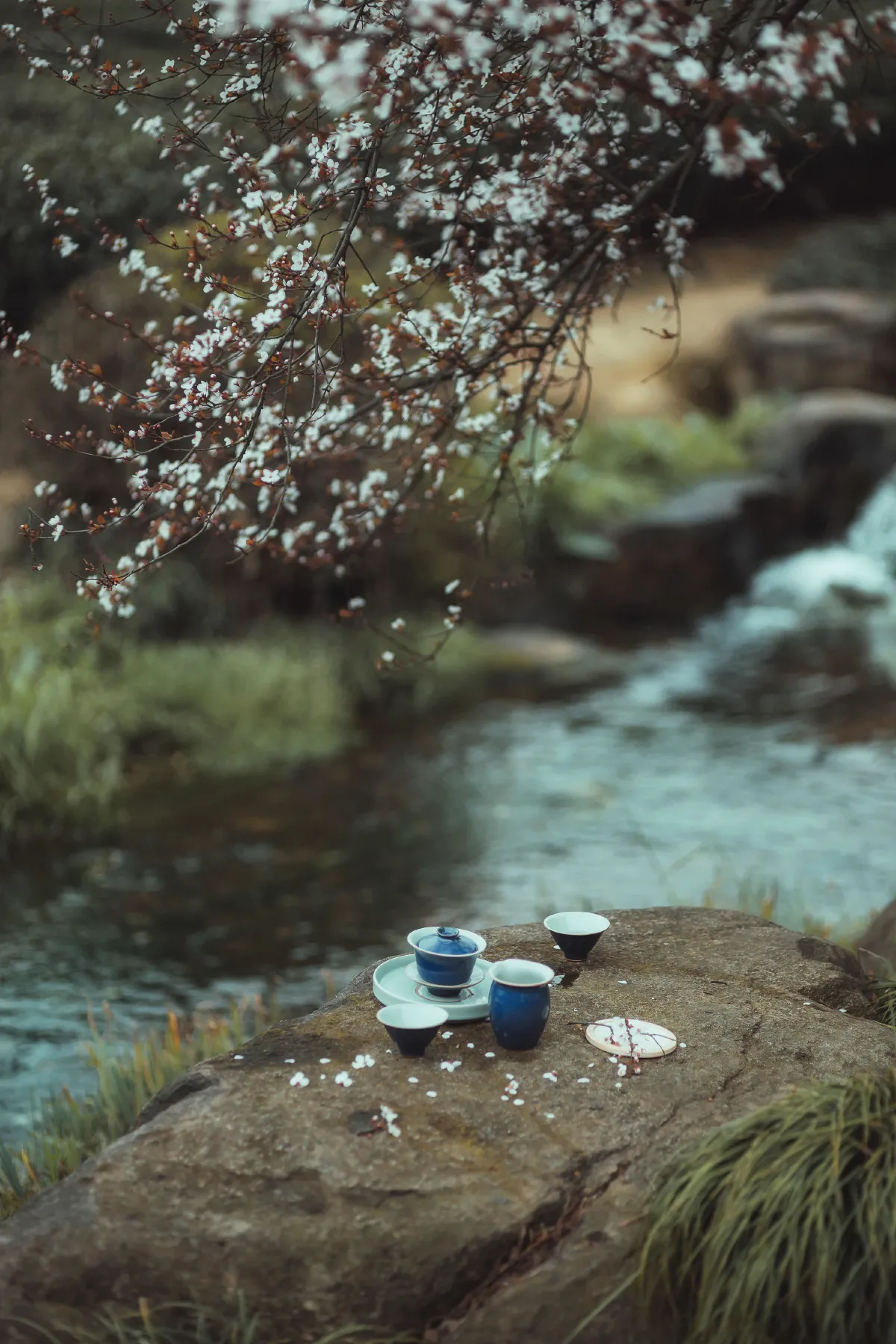 山泉煎茶3