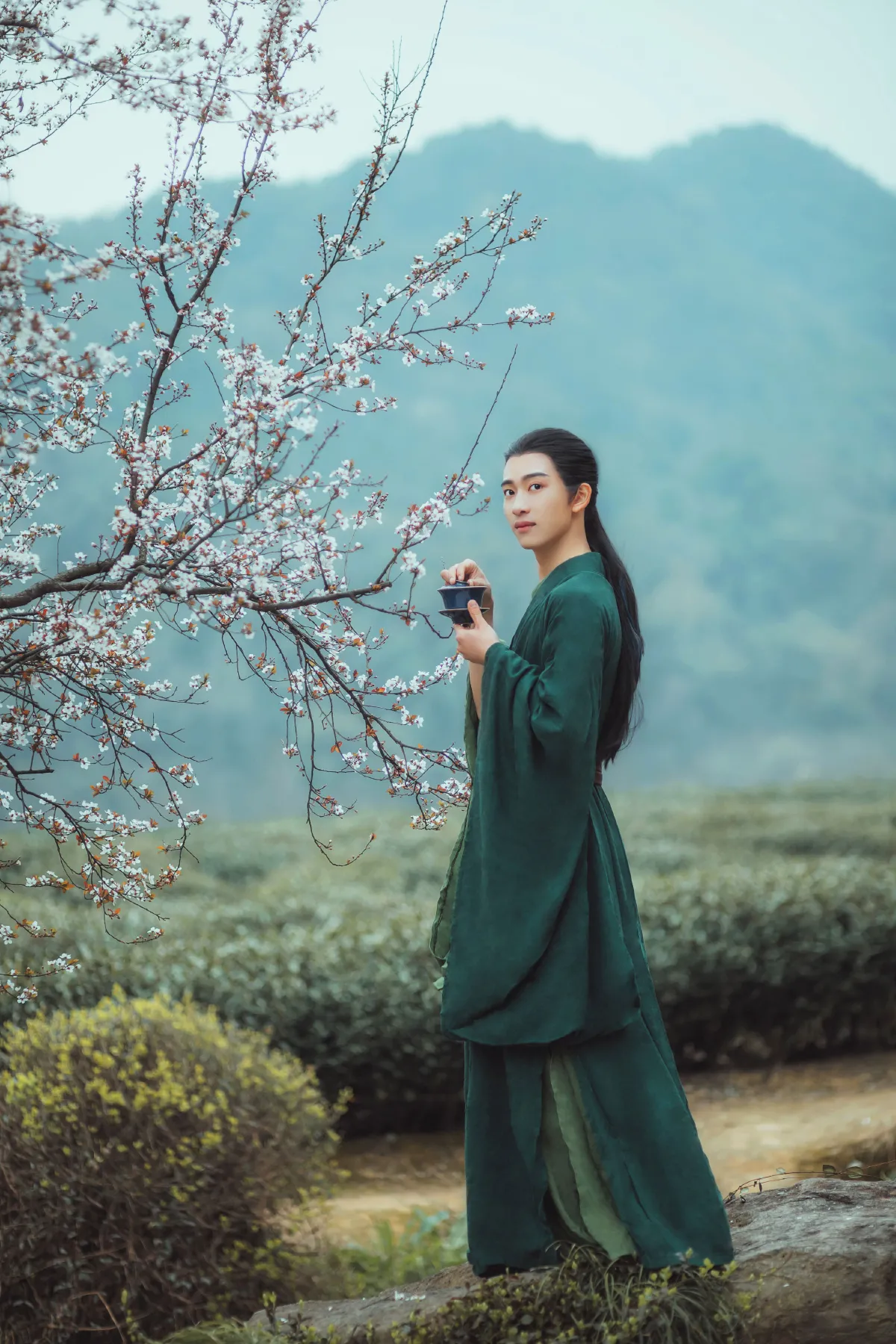 山泉煎茶