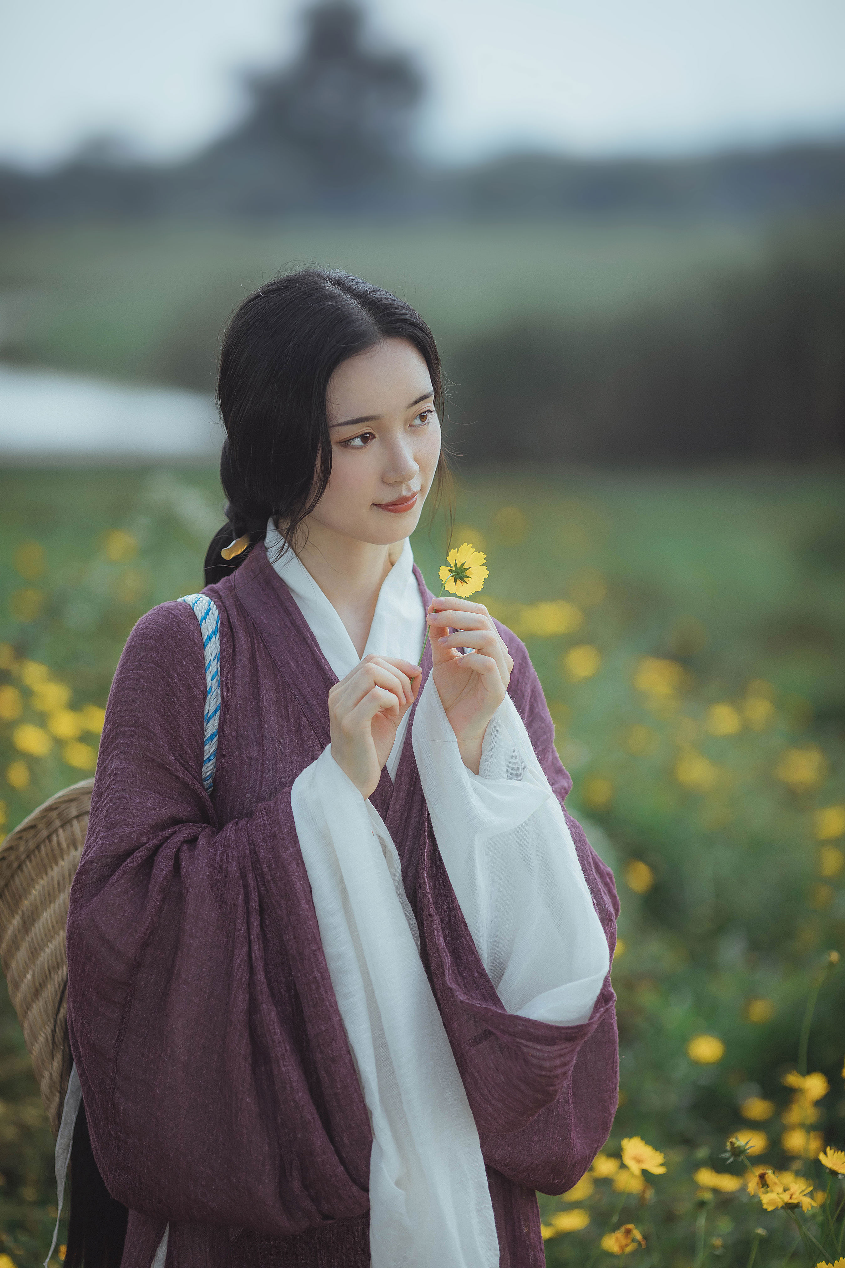 投我以桃1