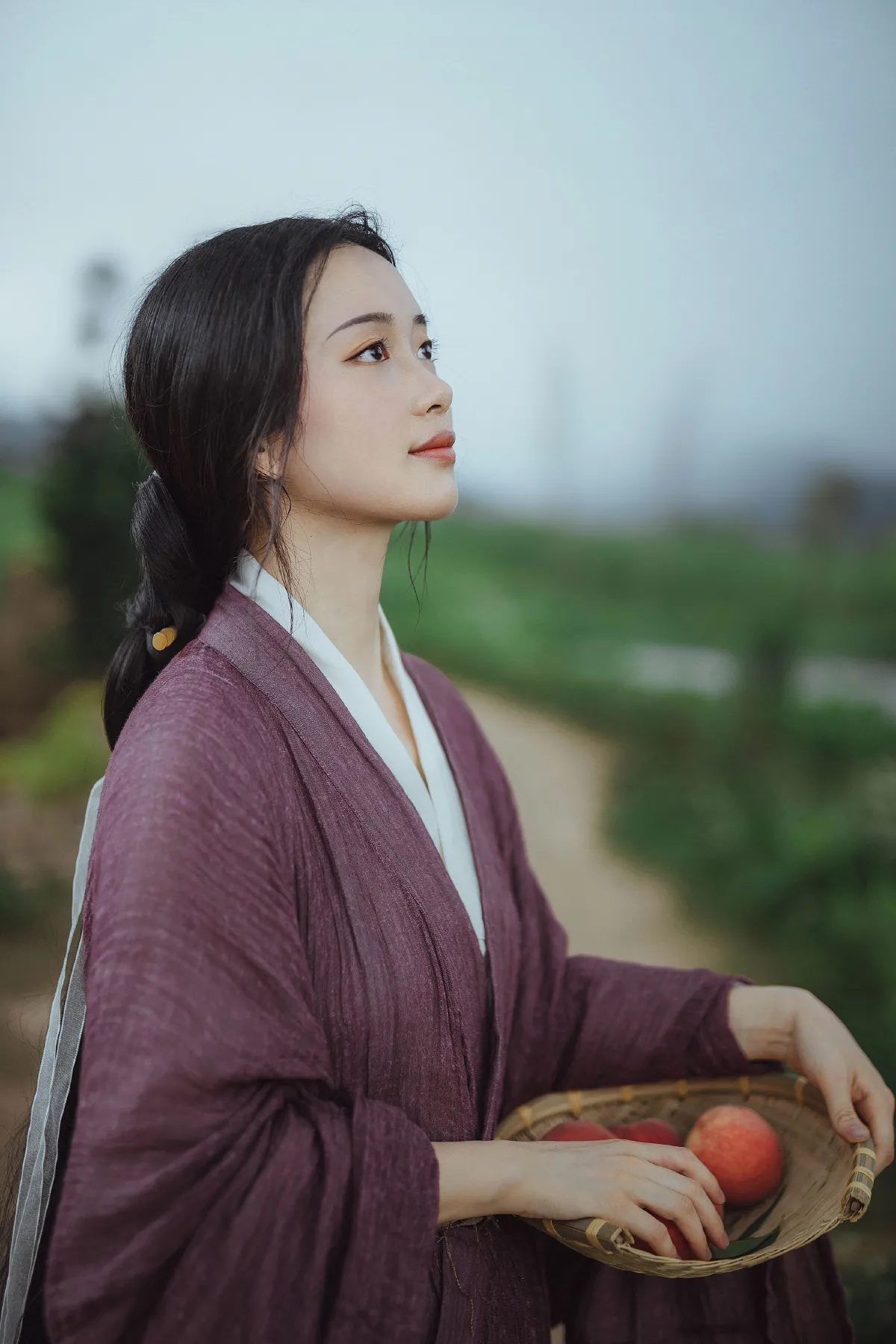 投我以桃