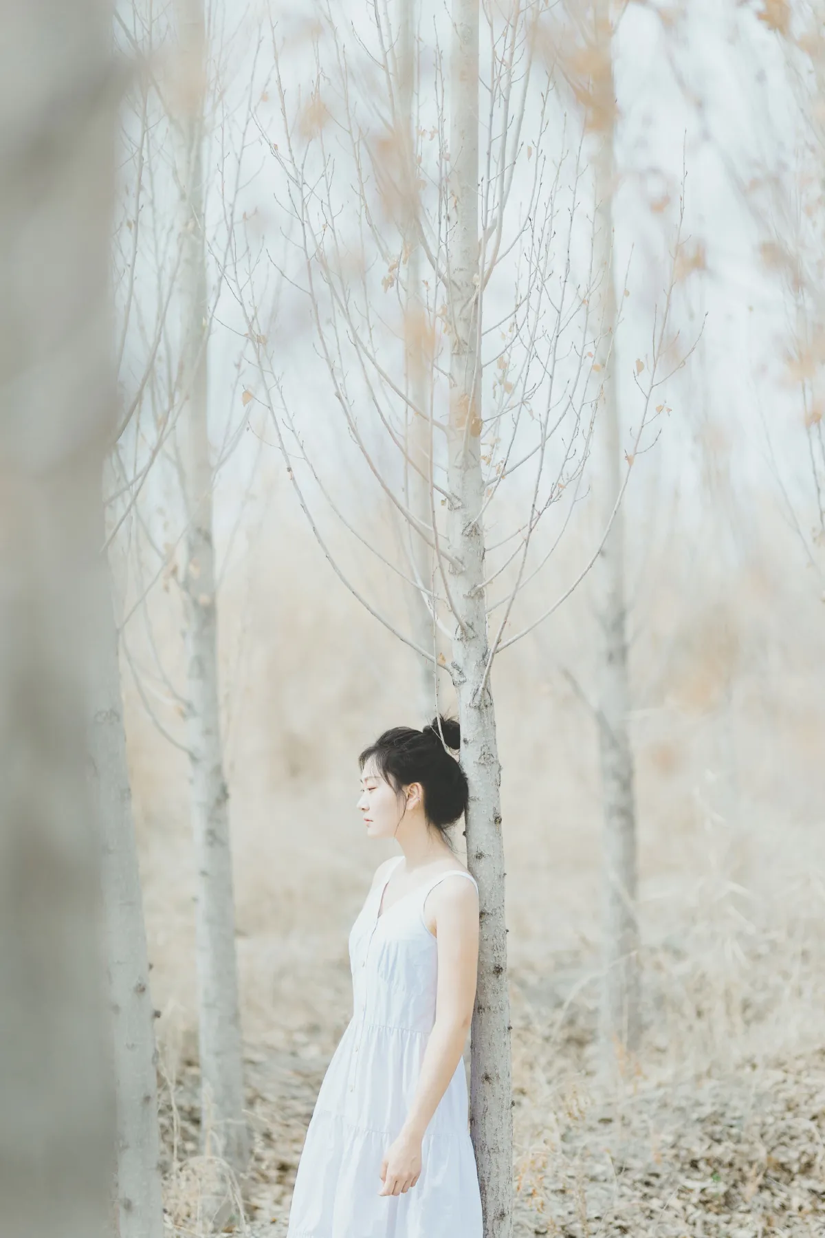 等春来