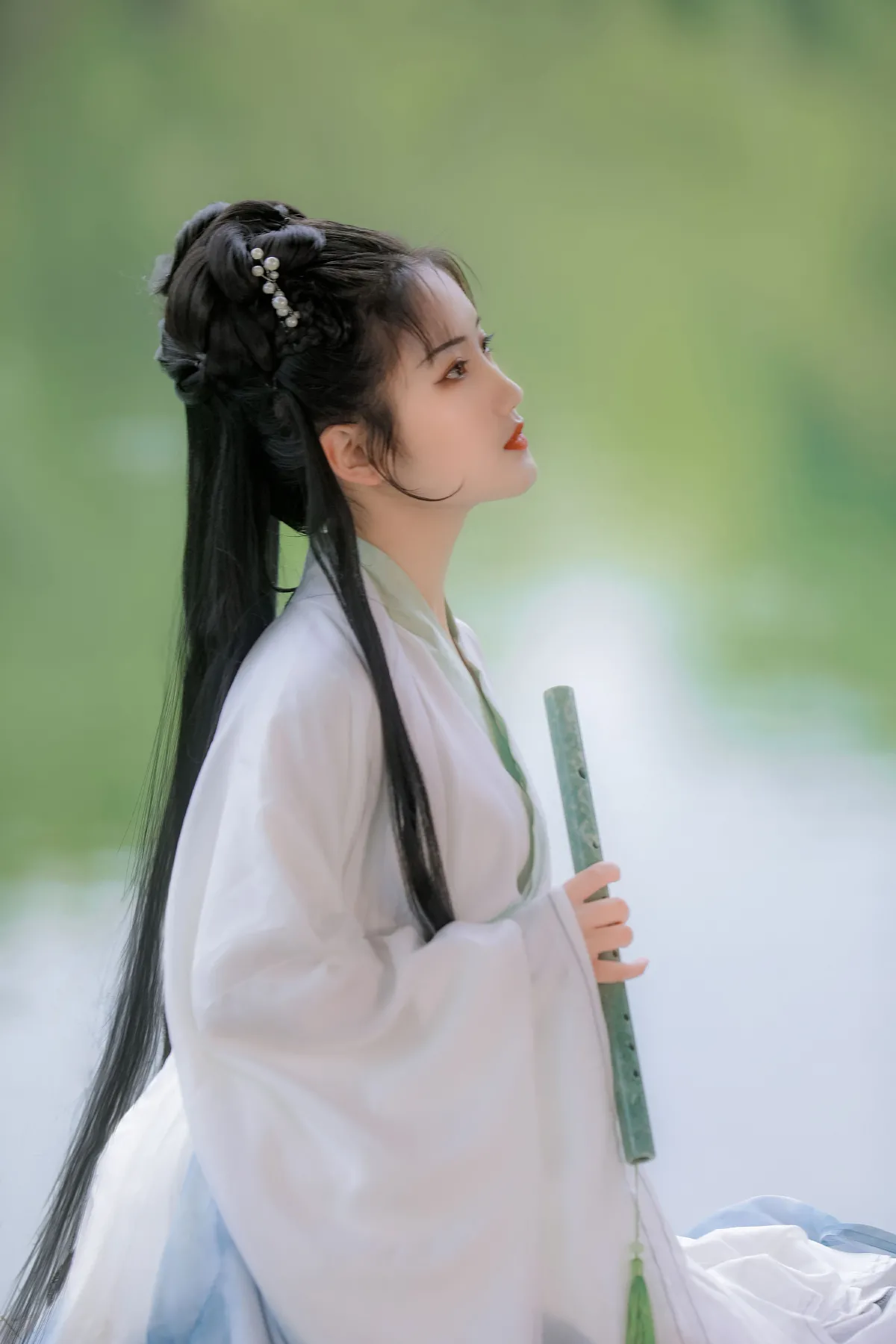 蒹葭苍苍