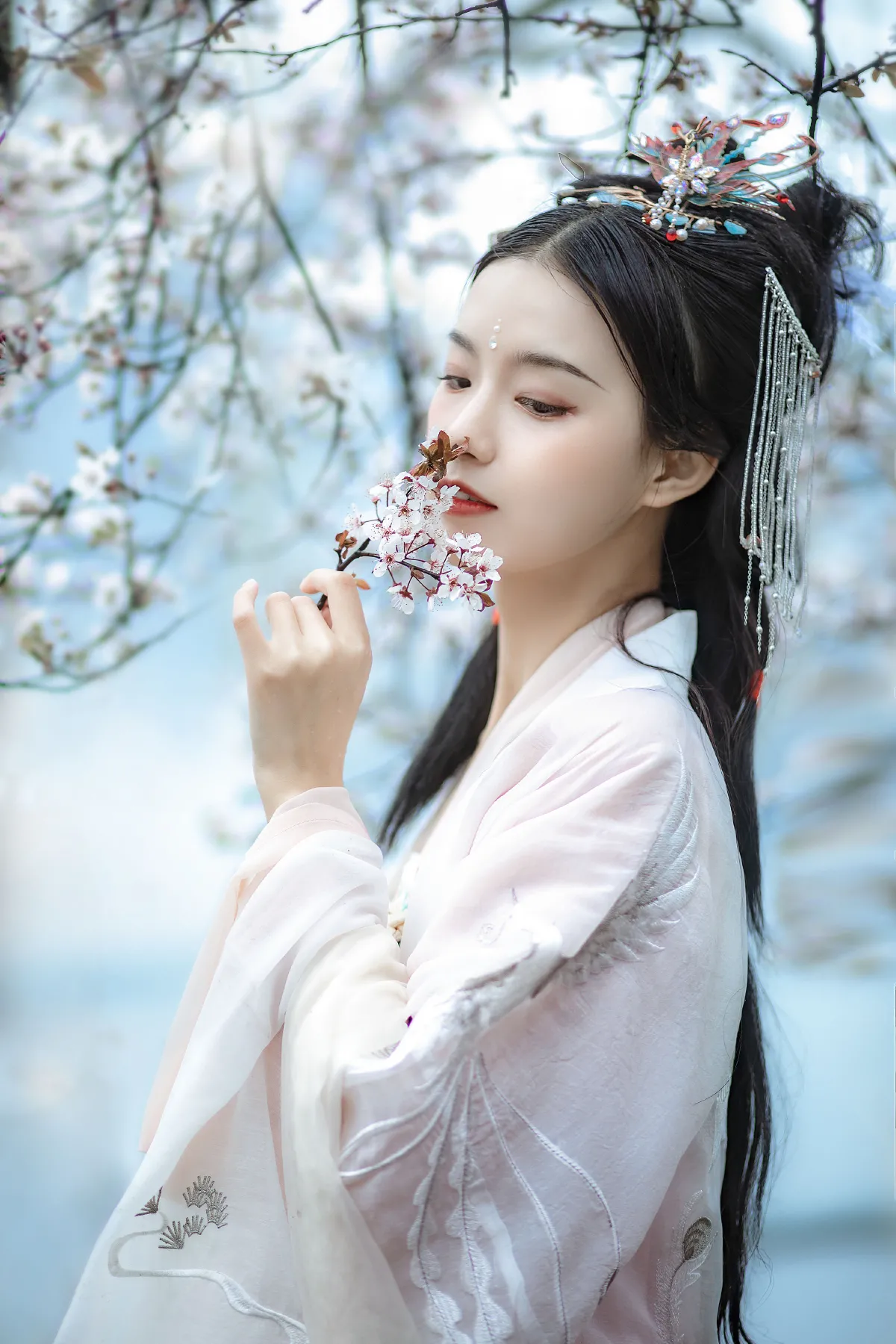 杏花雨1