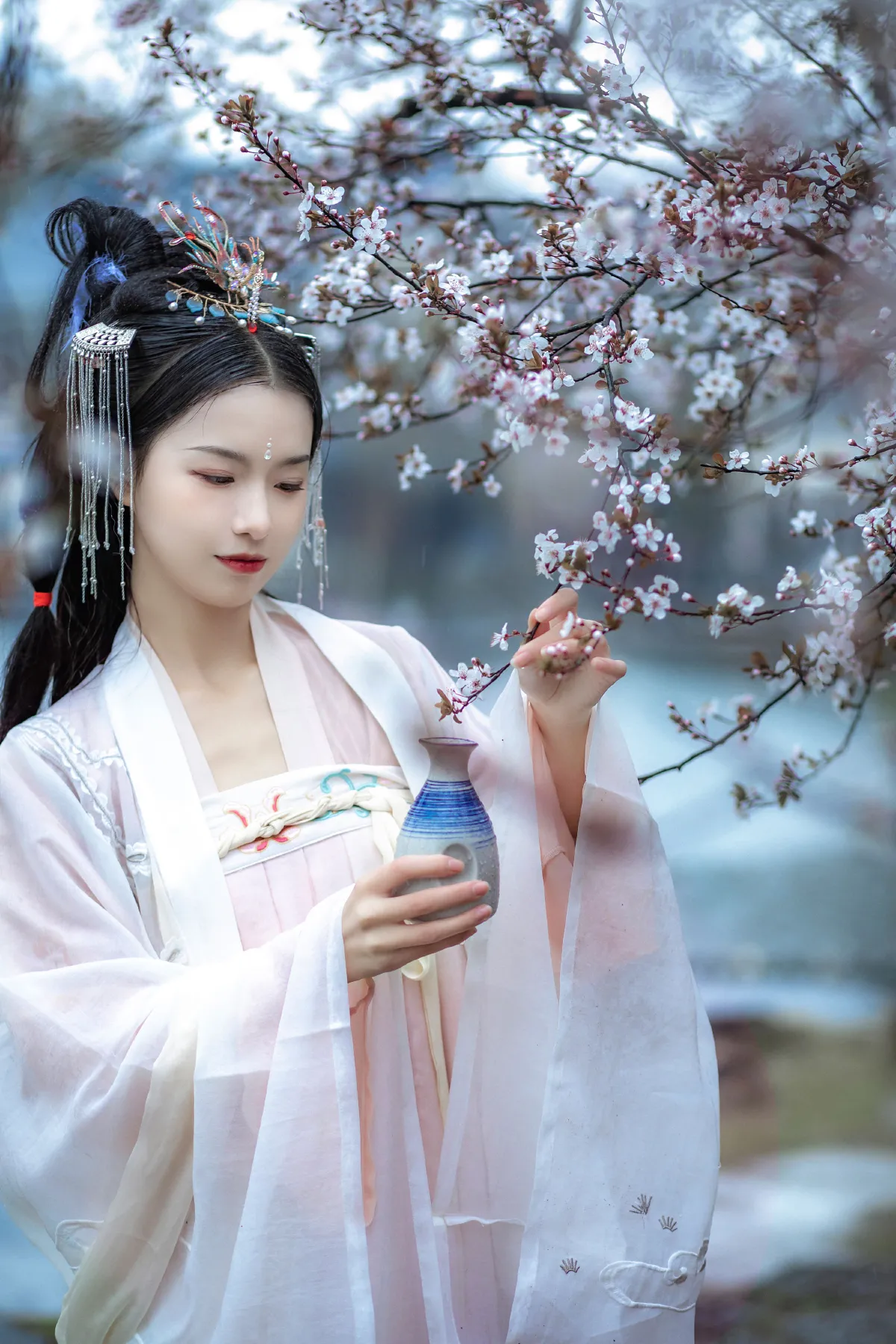 杏花雨