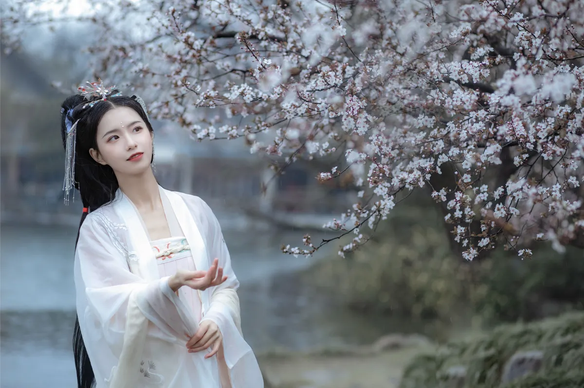杏花雨