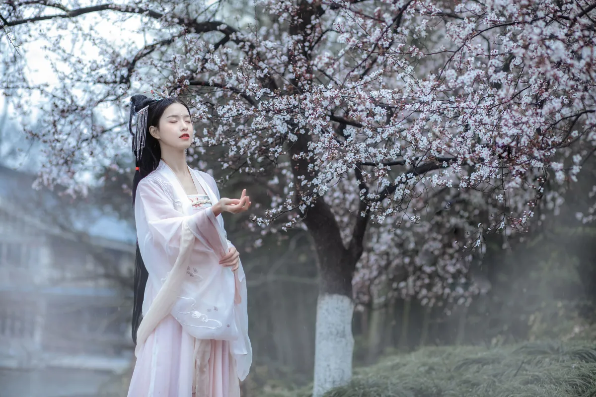 杏花雨