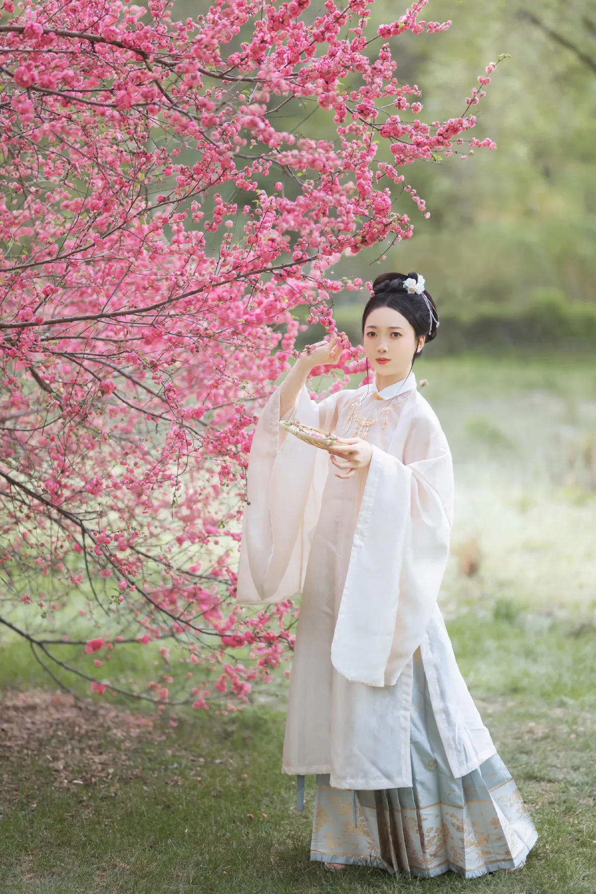 丁香绪