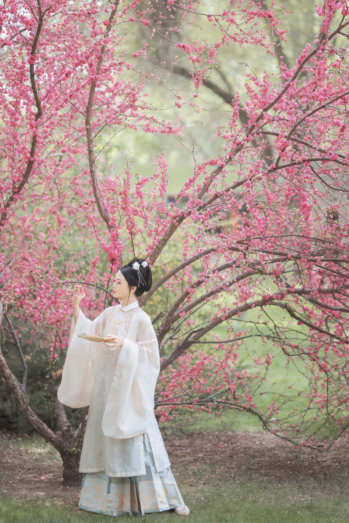 丁香绪