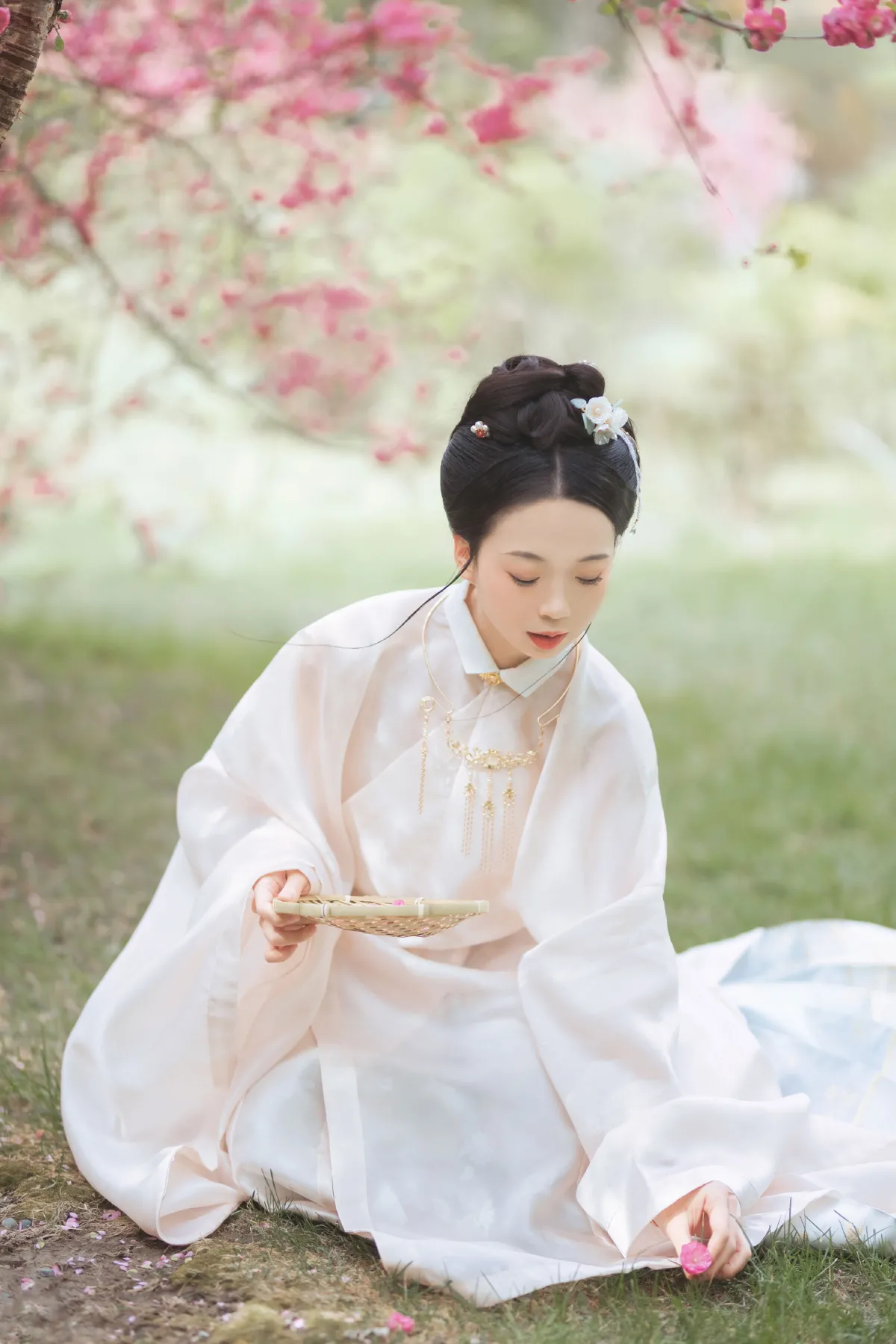 丁香绪